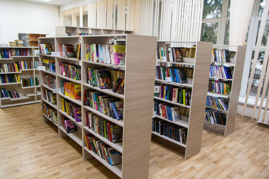 Library Zarayskaya Tsentralnaya Rayonnaya biblioteka g. Zaraysk, Zaraysk, photo