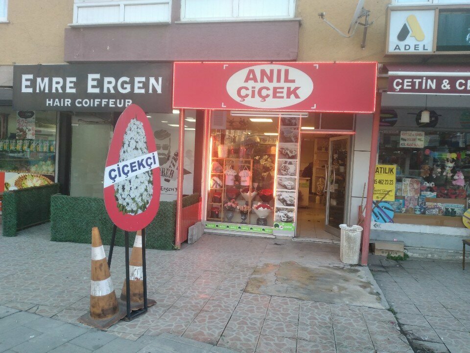 Flower shop Anıl Çiçek evi, Istanbul, photo