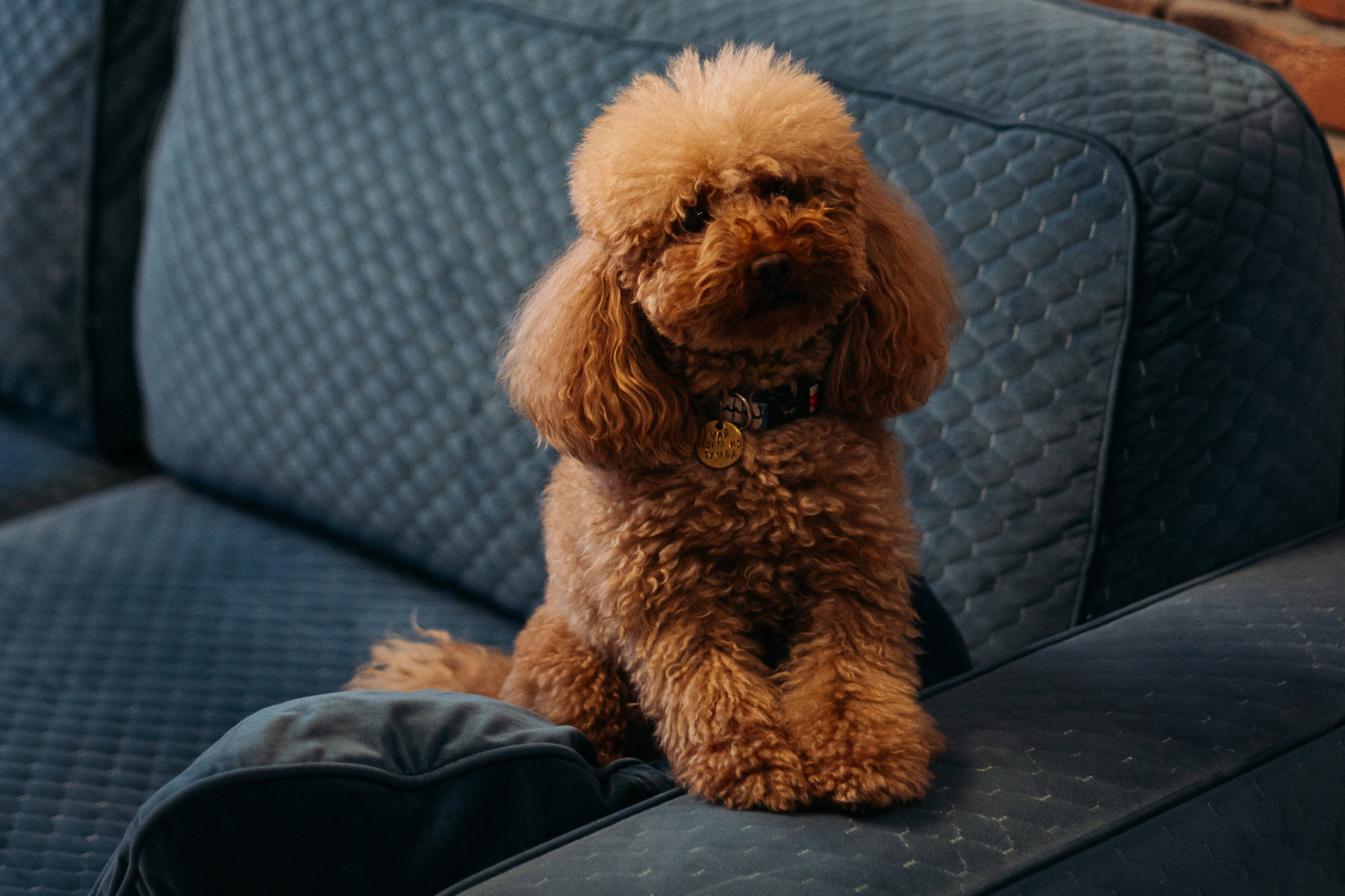 Фото Дубрава