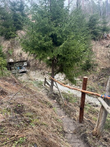 Pınar, çay Родник Жировский, Brianskaya oblastı, foto