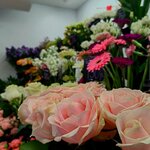 Flowershop (posyolok Nagornoye, Datskiy Kvartal Residential Complex, ulitsa Polkovnika Romanova, 7) ، محل زهور