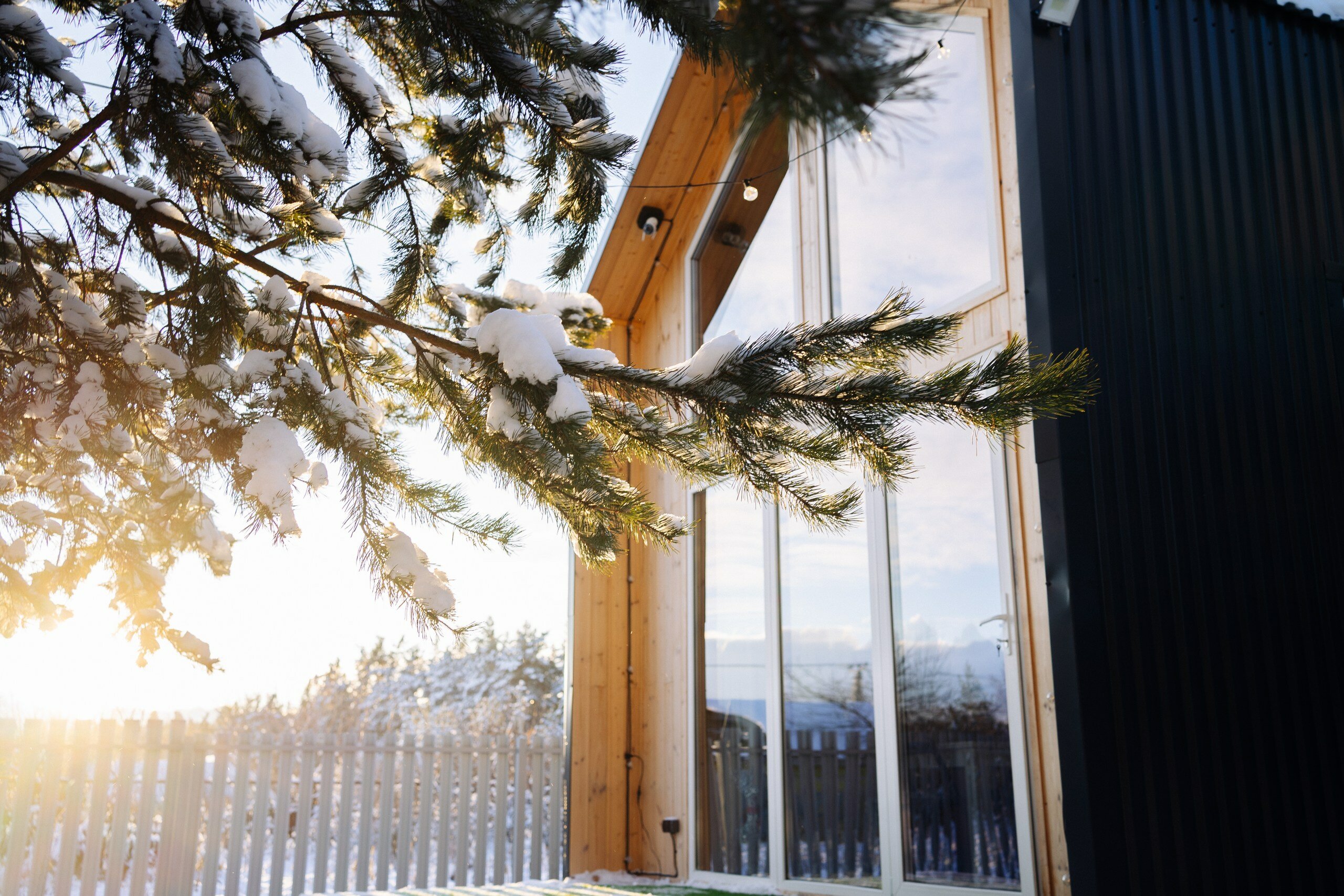 Фото Домик в сосновом бору