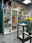Home Decor Market (Pervomayskiy Village, ulitsa Stroitelya Nikolaya Shishkina, 3/3) ، السلع الداخلية