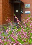 Большая перемена (Shostakovicha Street, 3к1), kindergarten, nursery
