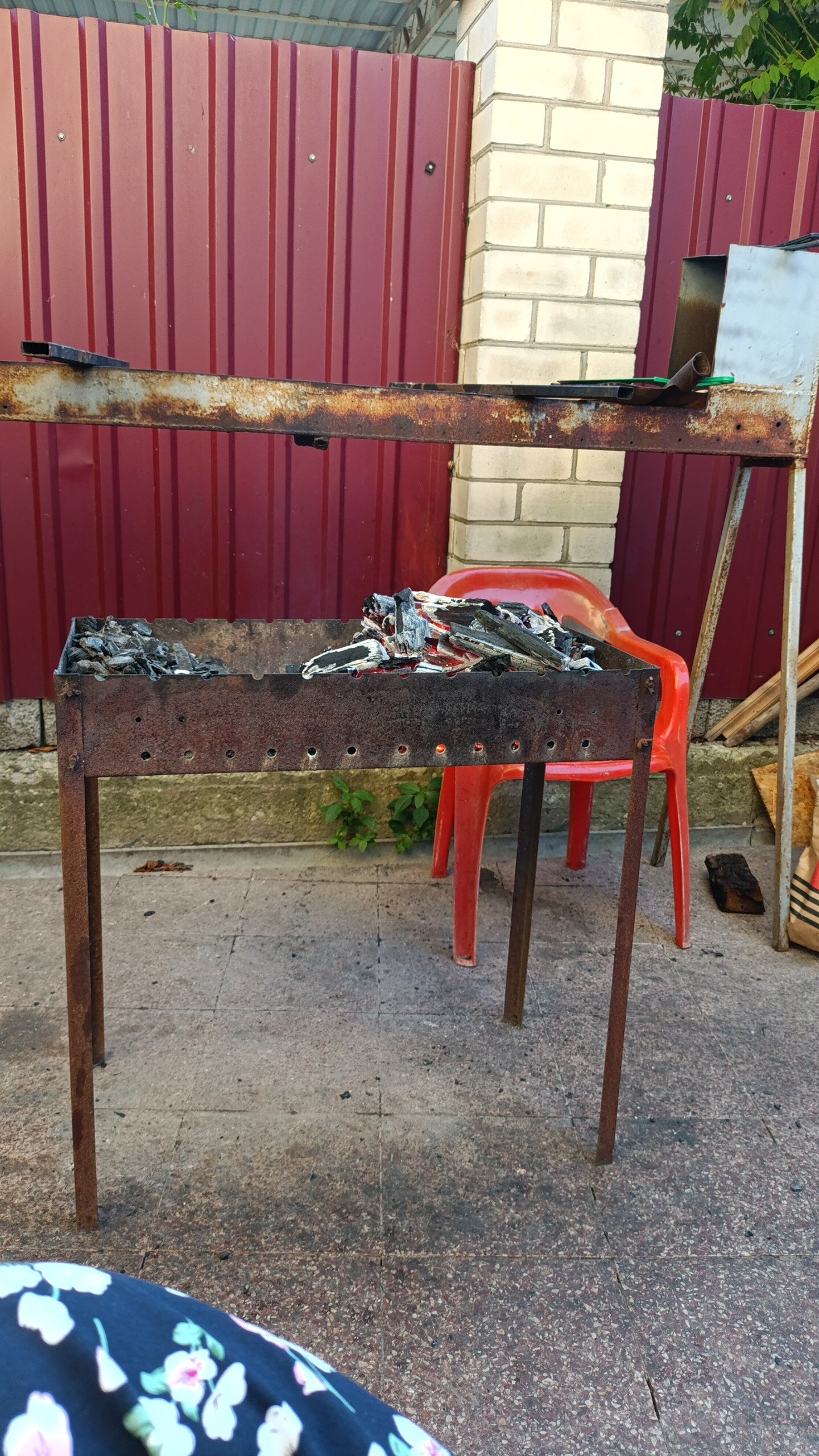 Фото Серебристая Чайка