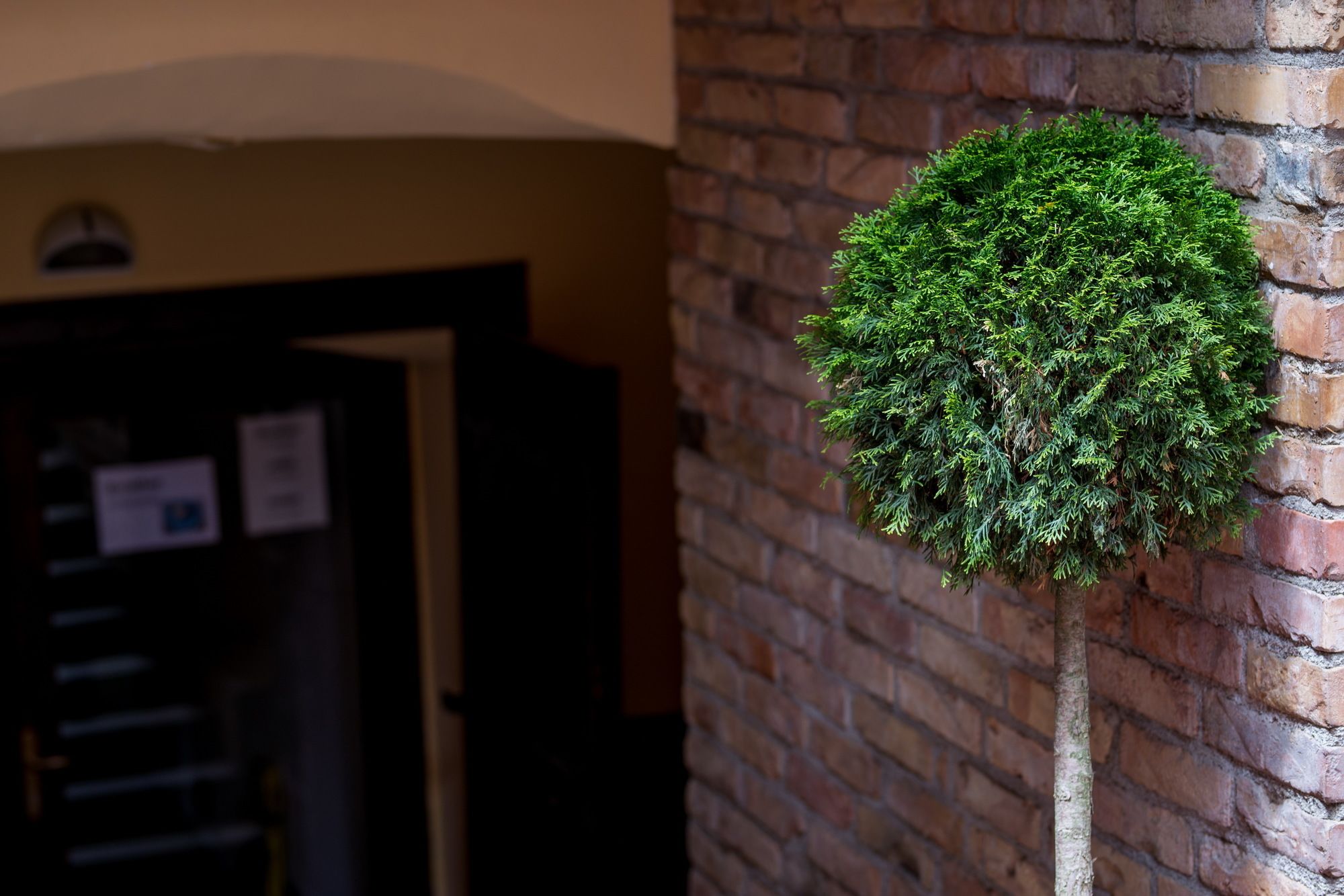 Фото Hotel & Hostel Zagreb