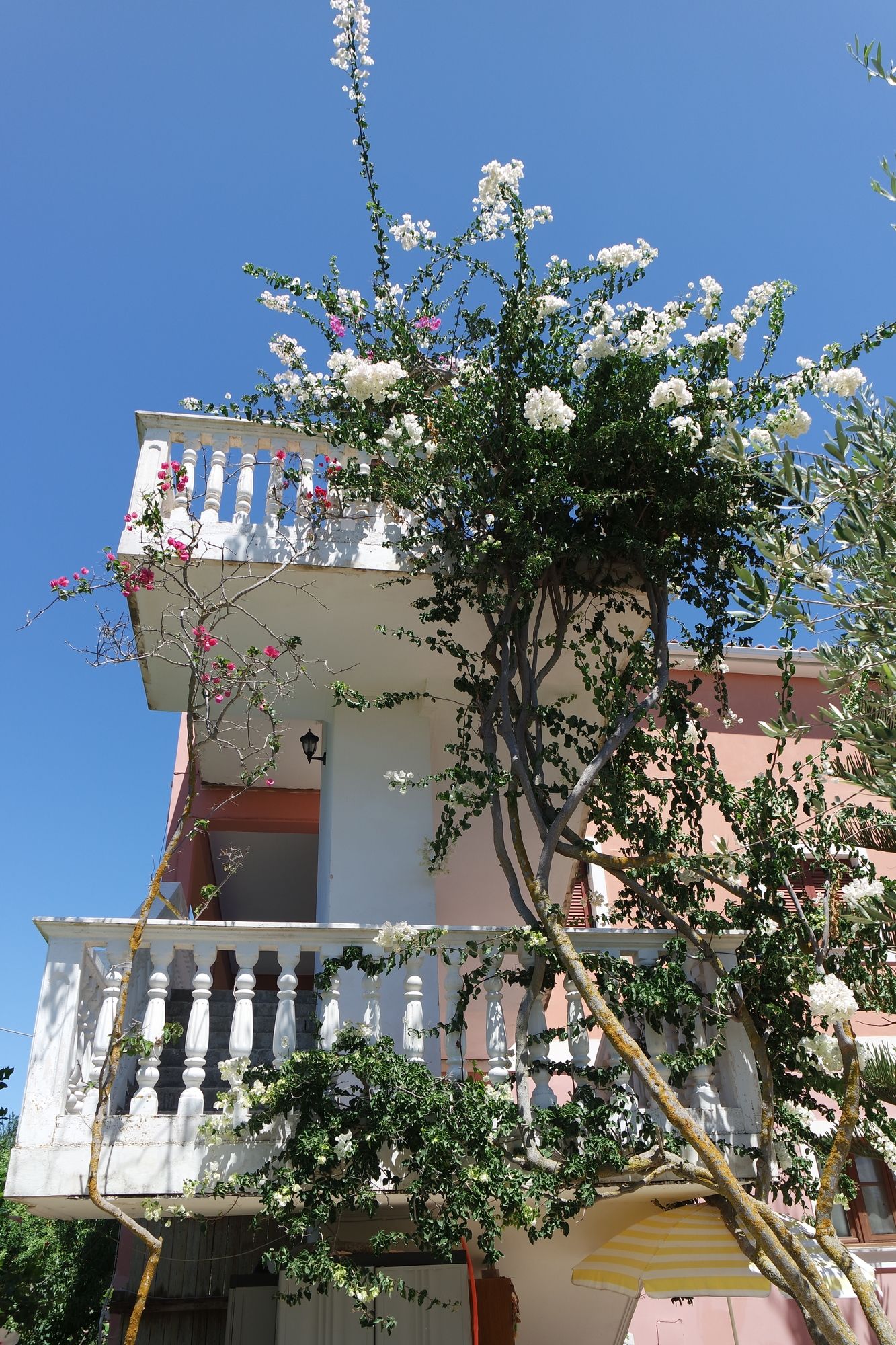 Фото Arazzo Apartments