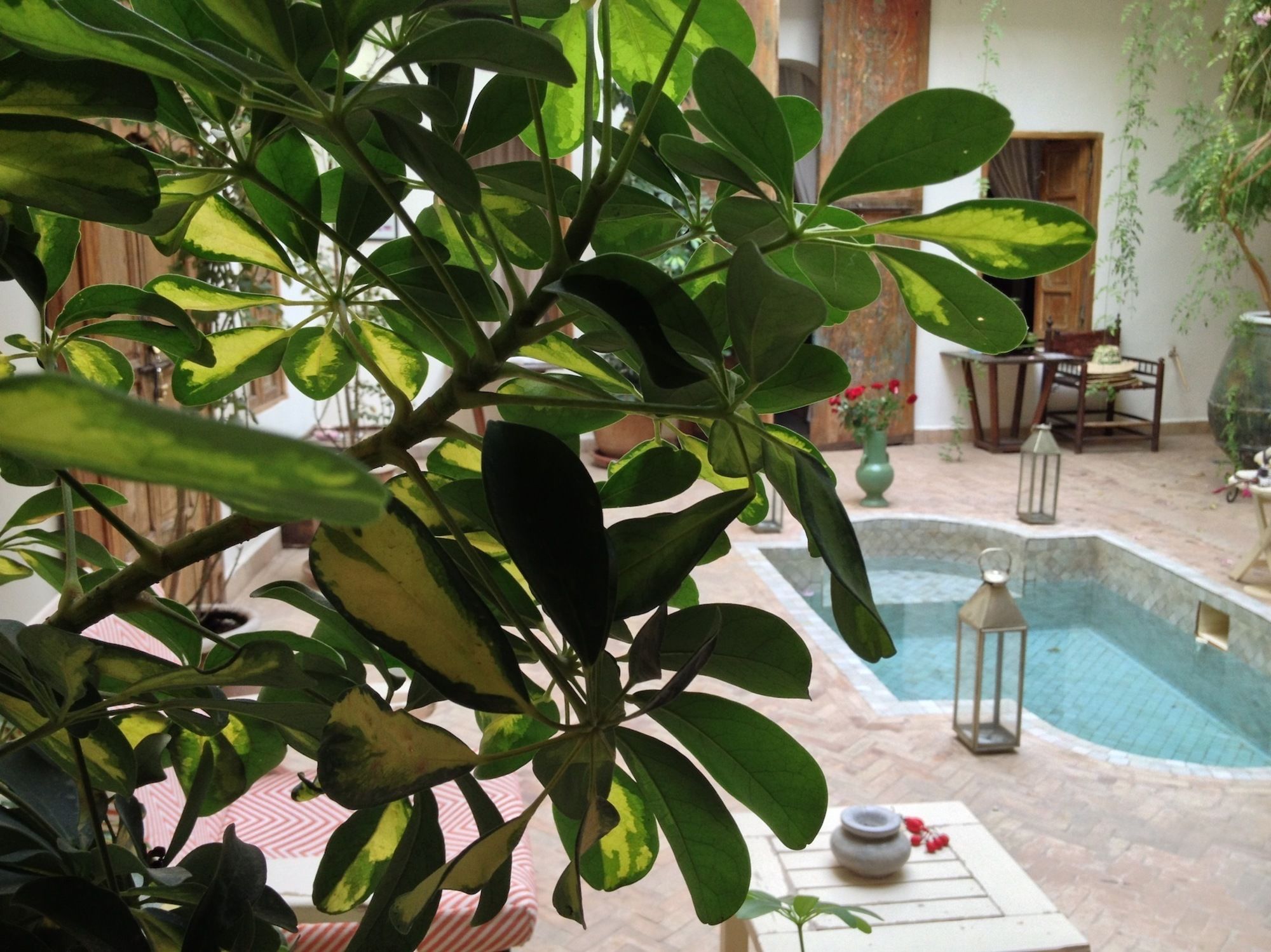 Фото Riad Le Coq Berbere