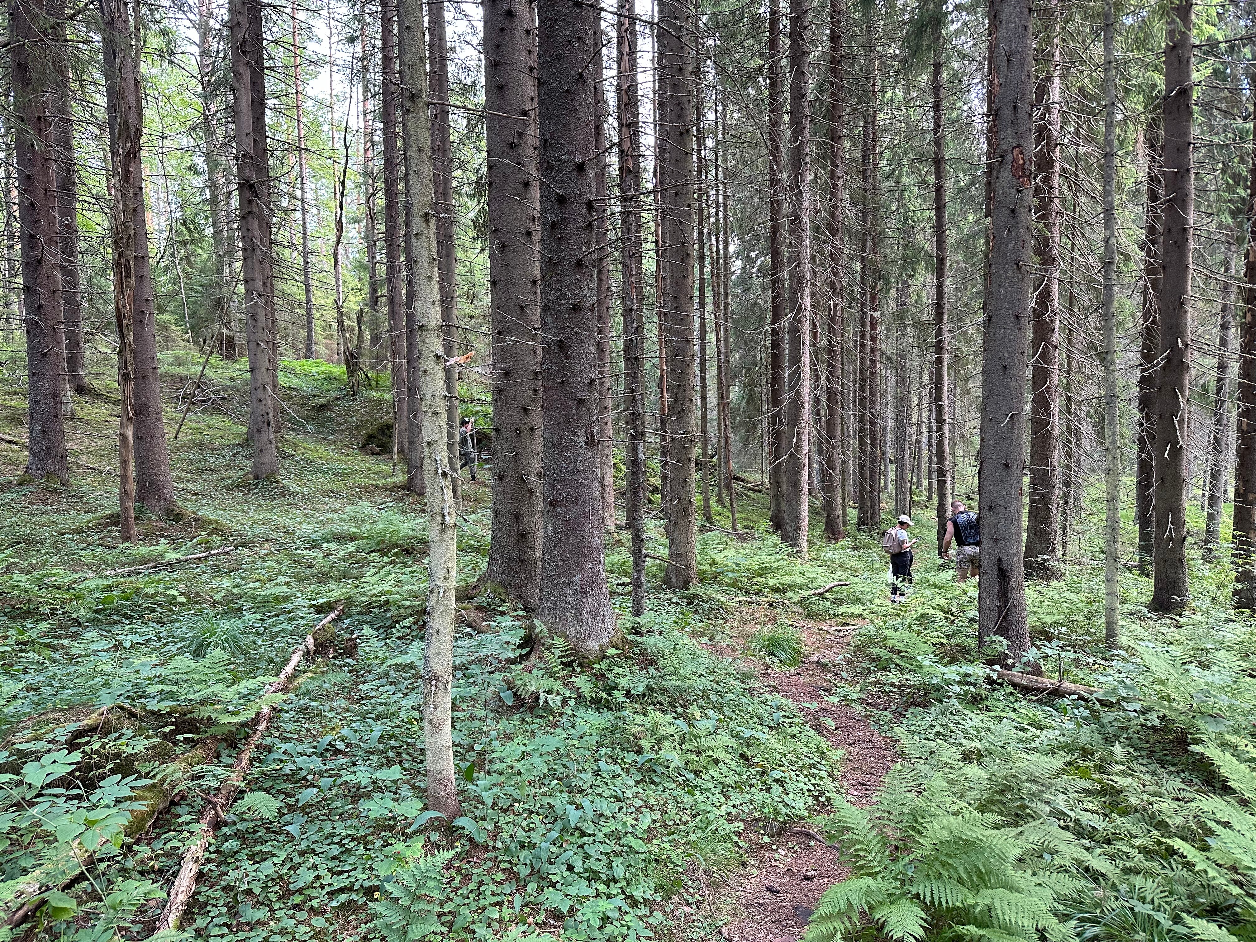 Фото Шале Клёвер