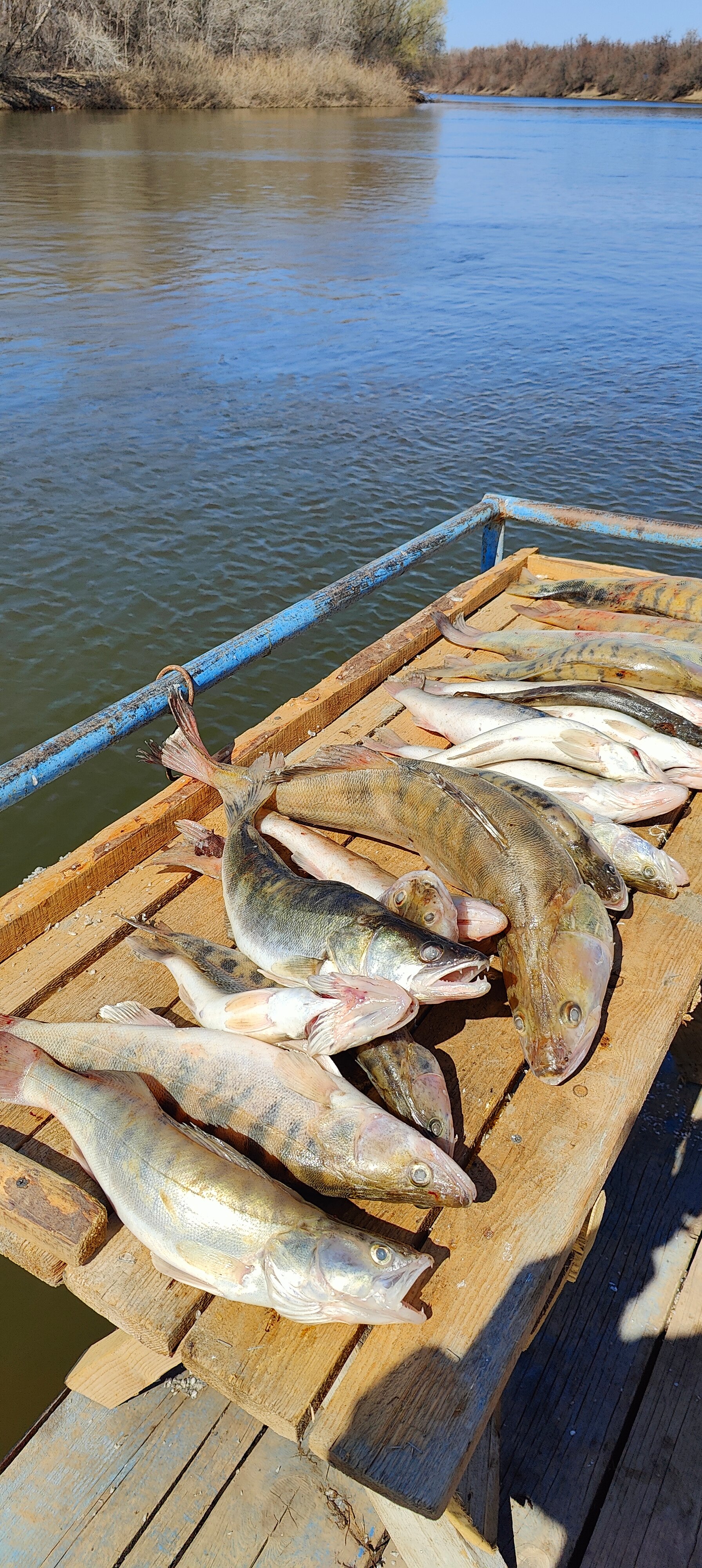 Фото КигачОК