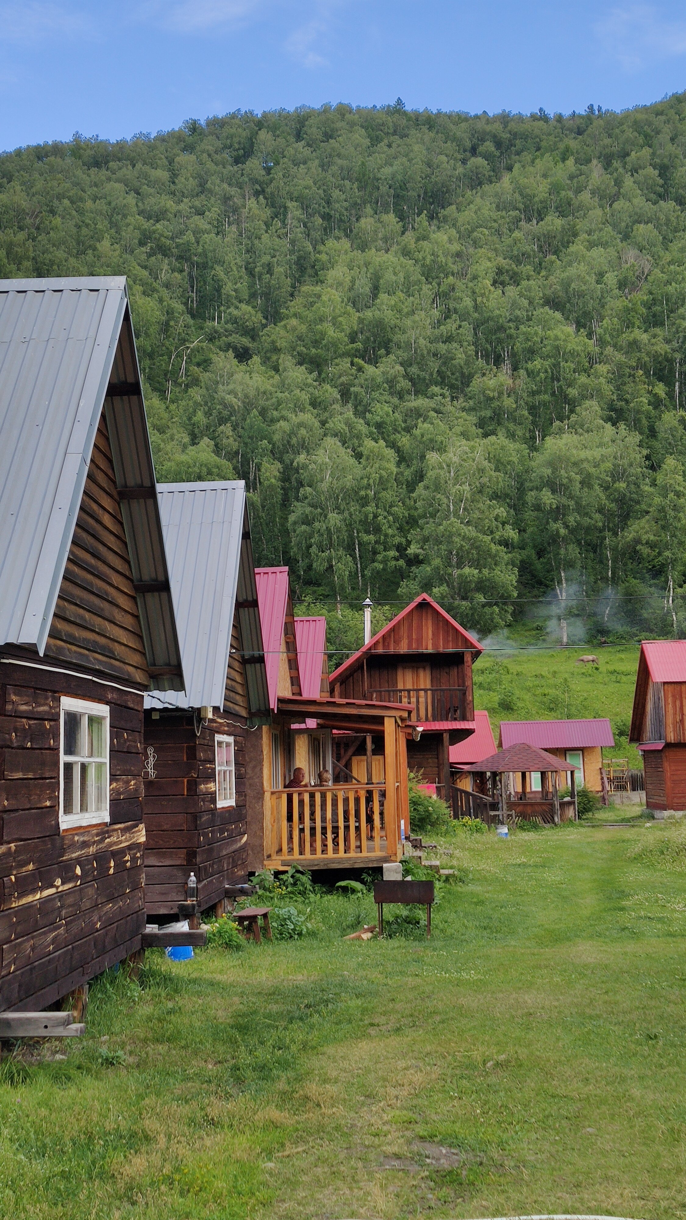 Фото Золотая пчела