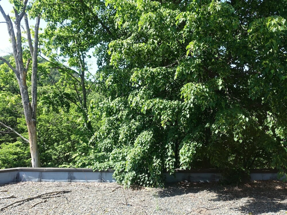 Фото Nukabirakan Kanko Hotel