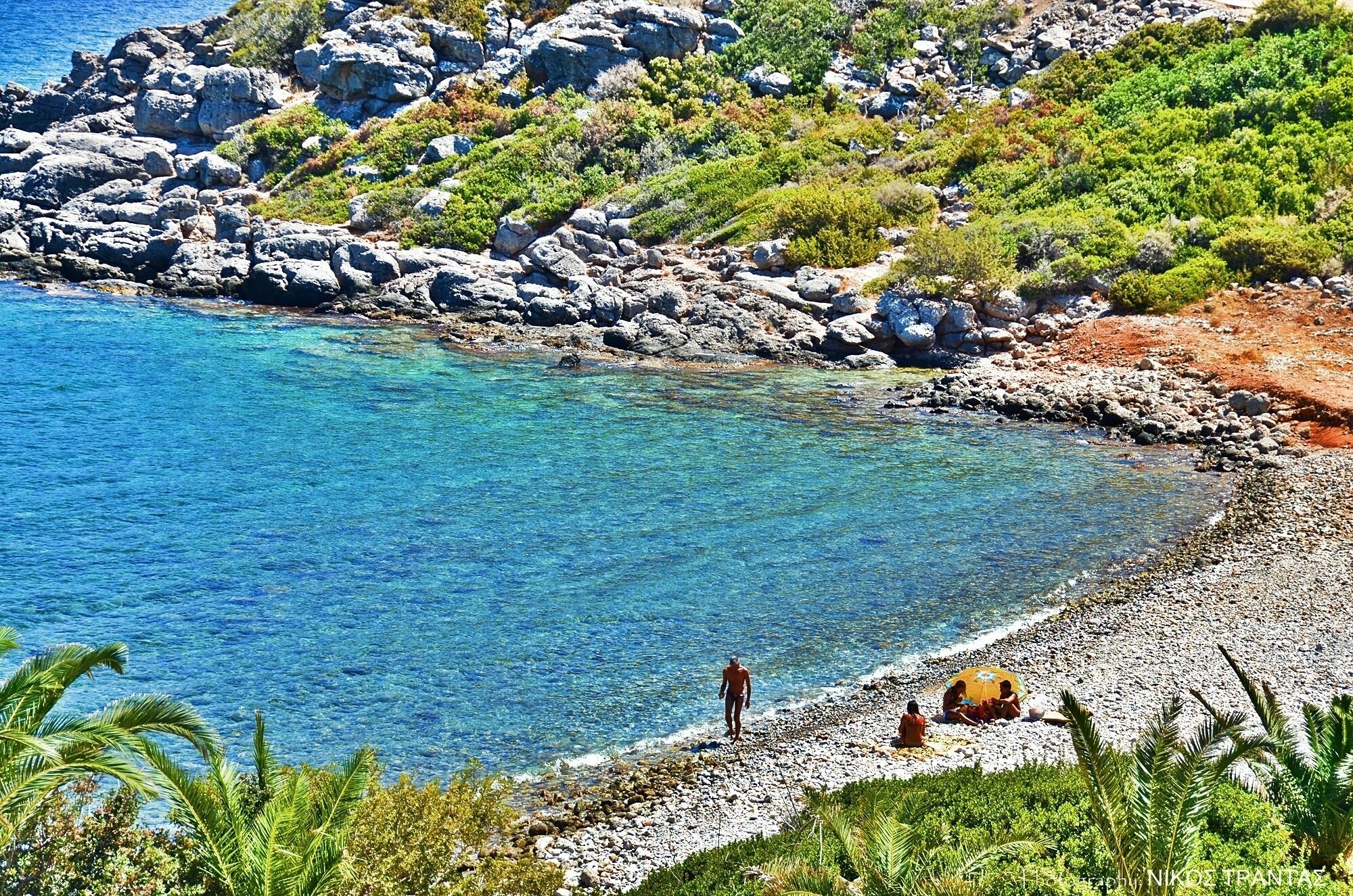 Фото Poppy Villas