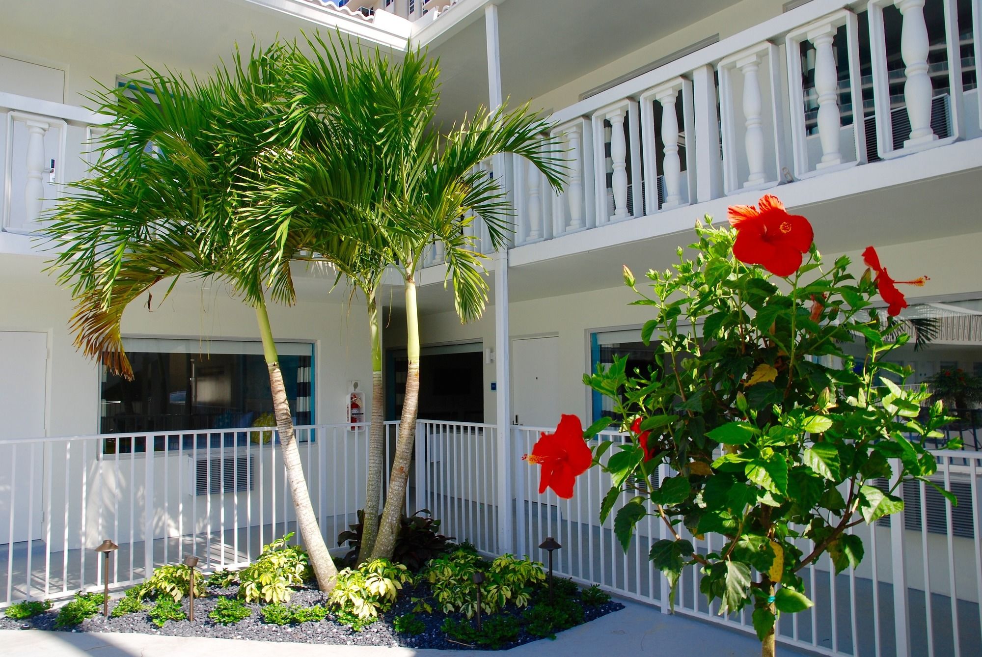 Фото Fortuna Hotel