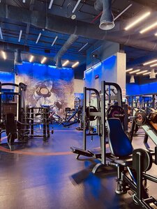 Prime Fitness (Sandhurst Building, District JVC 10, Al Barsha South 4, Hadaeq Mohammed Bin Rashid, Dubai), fitness club