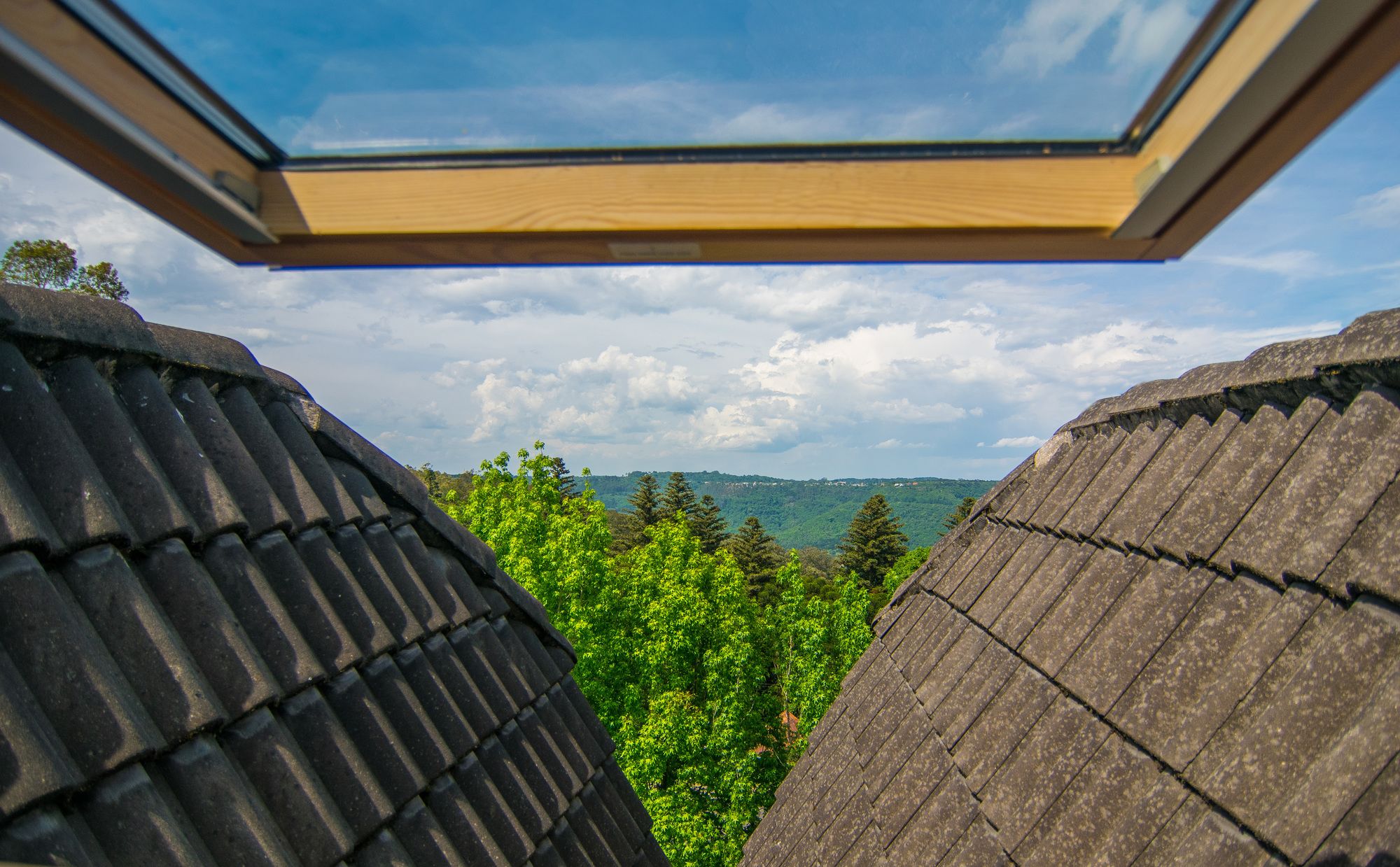 Фото Hotel Azaleia