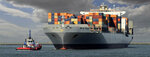 Arma Customs Brokerage (İstanbul, Pendik, Güzelyalı Mah., Safran Sok., 2), agente de aduana