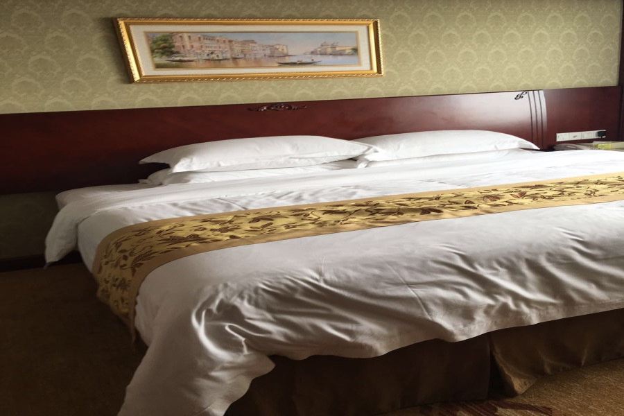 Фото Vienna Hotel