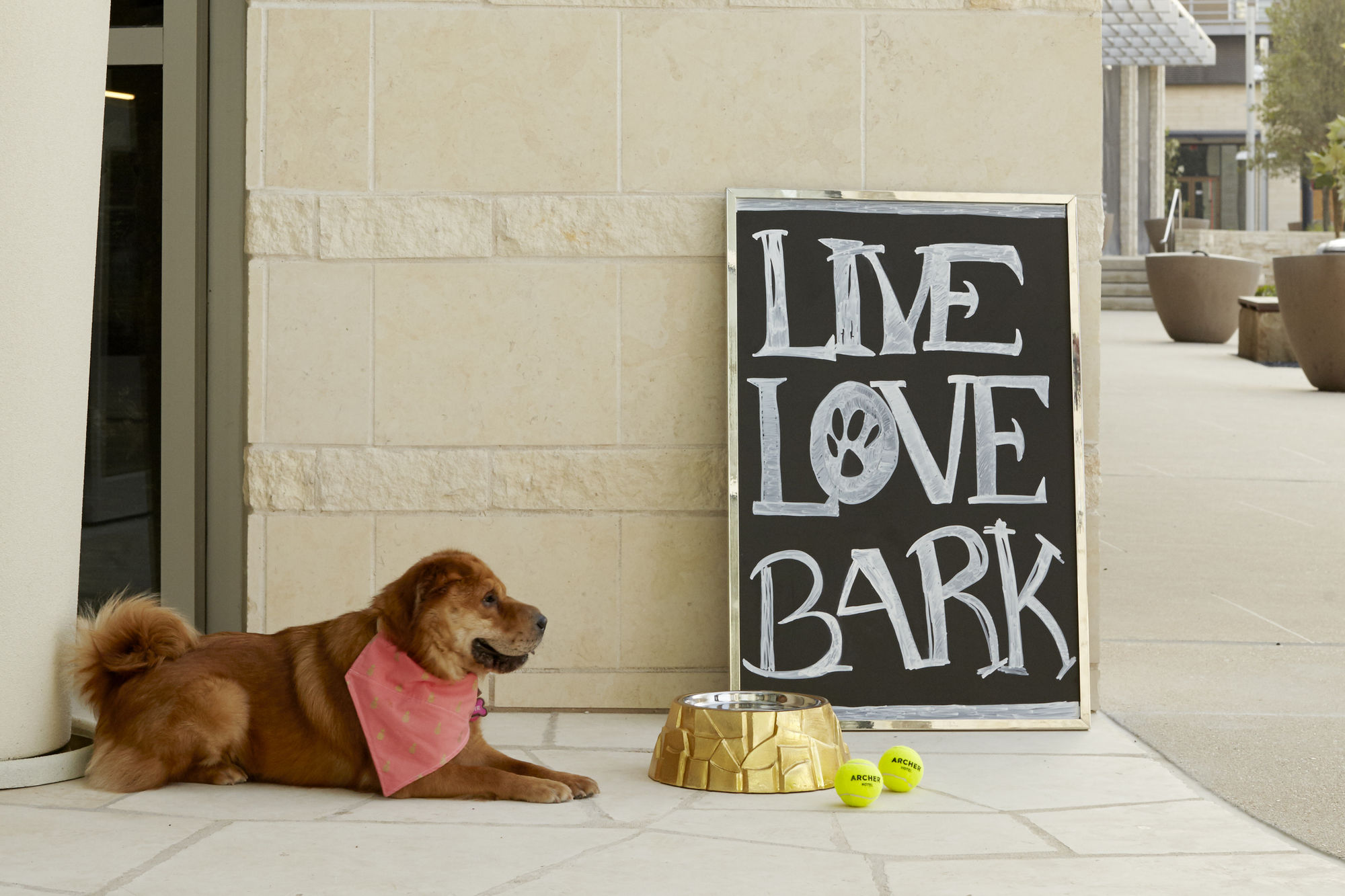 Фото Archer Hotel Austin at the Domain