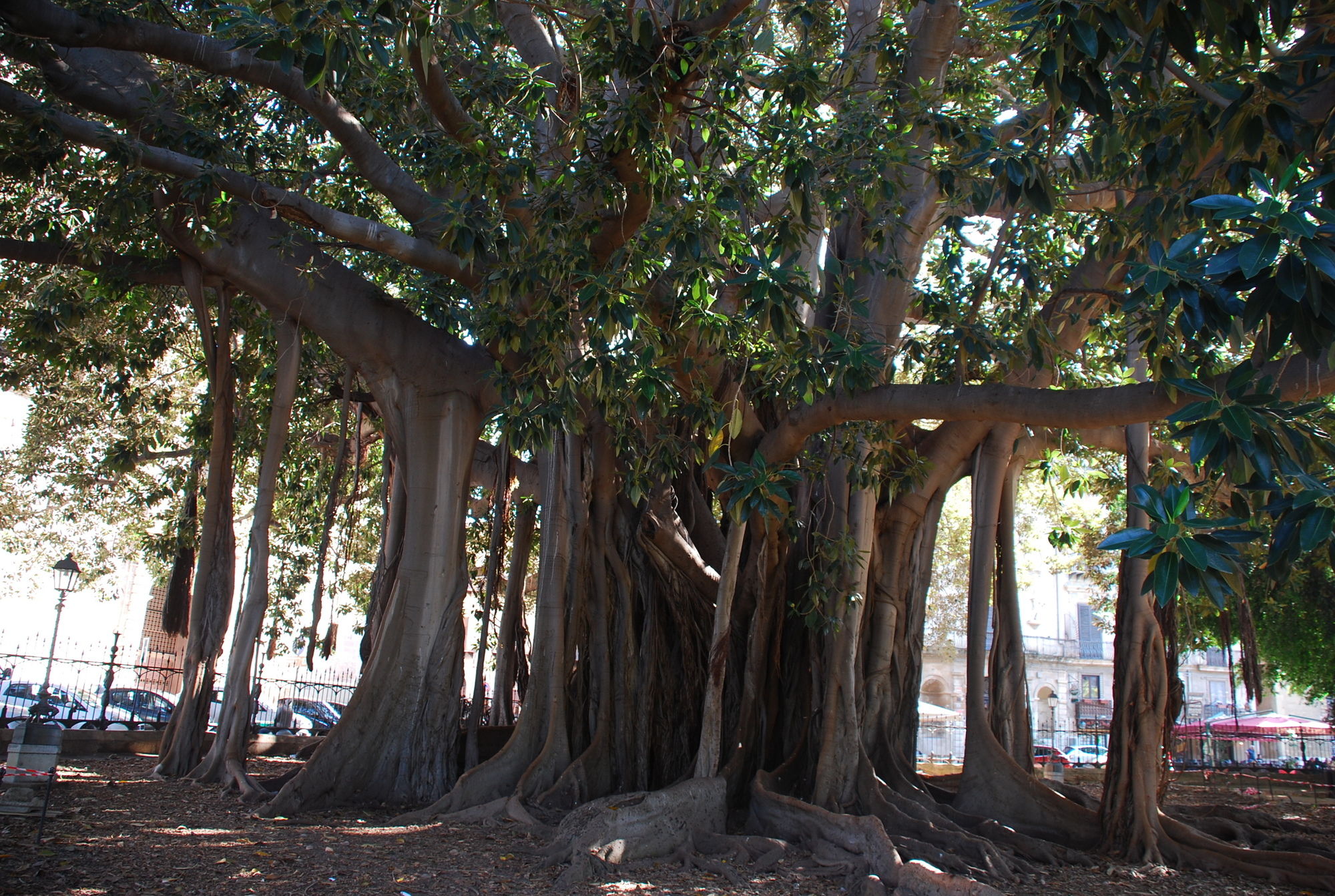 Фото Boutique B&b Vintage