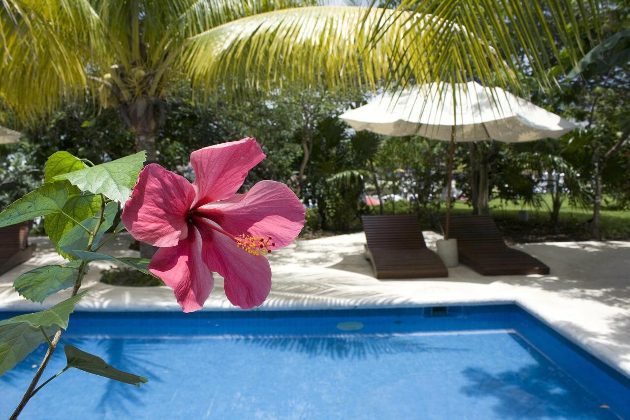 Фото Hotel Sotavento & Yacht Club