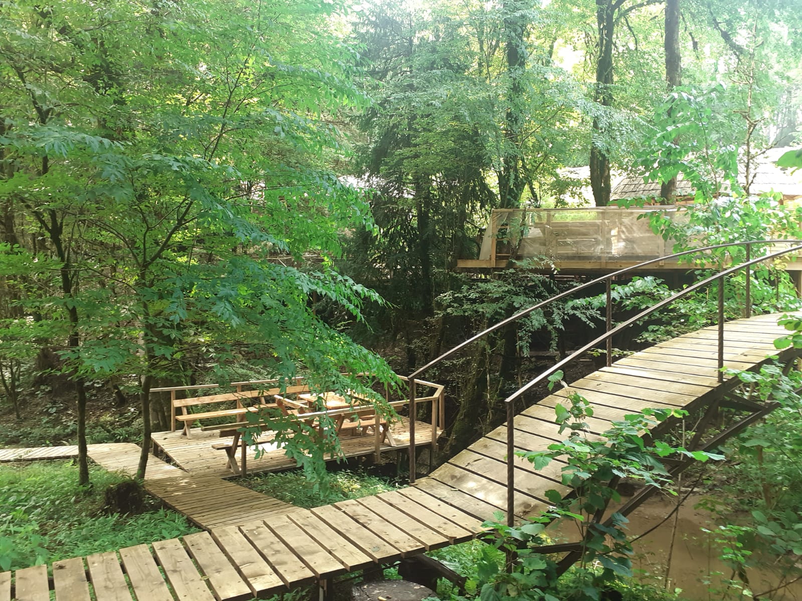 Фото Хоста Рика