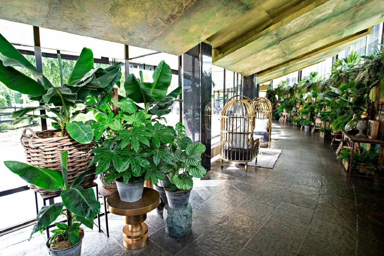 Фото Apollo Hotel Amsterdam, a Tribute Portfolio Hotel