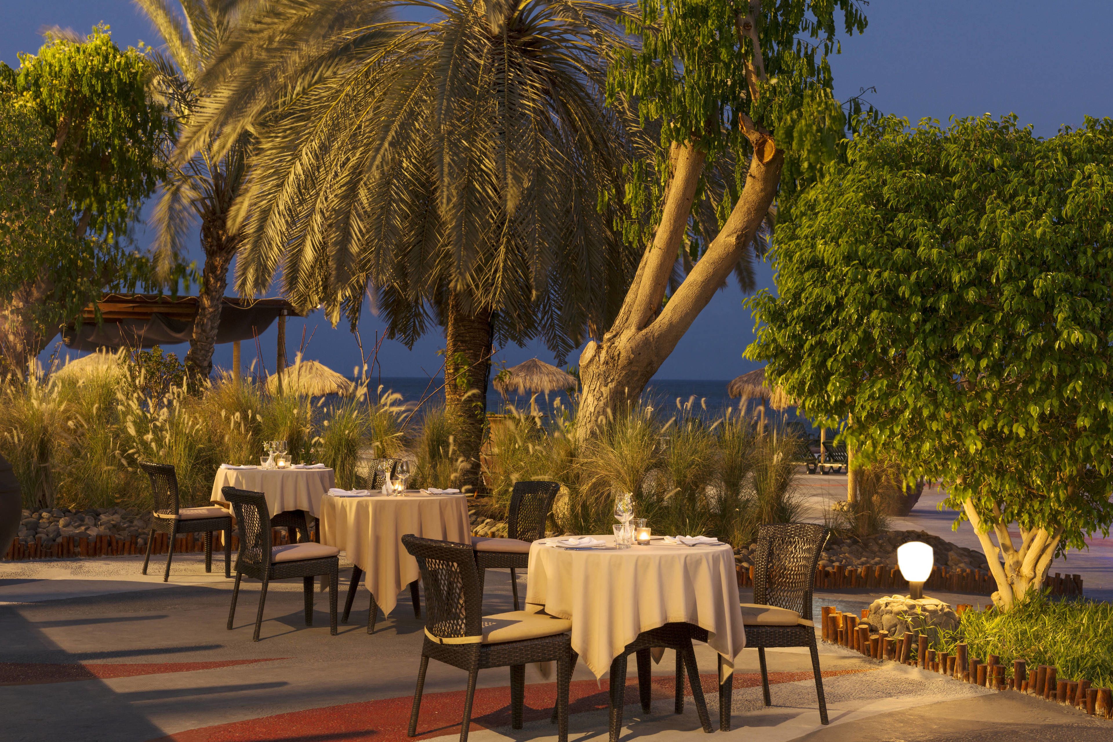 Фото Sheraton Djibouti