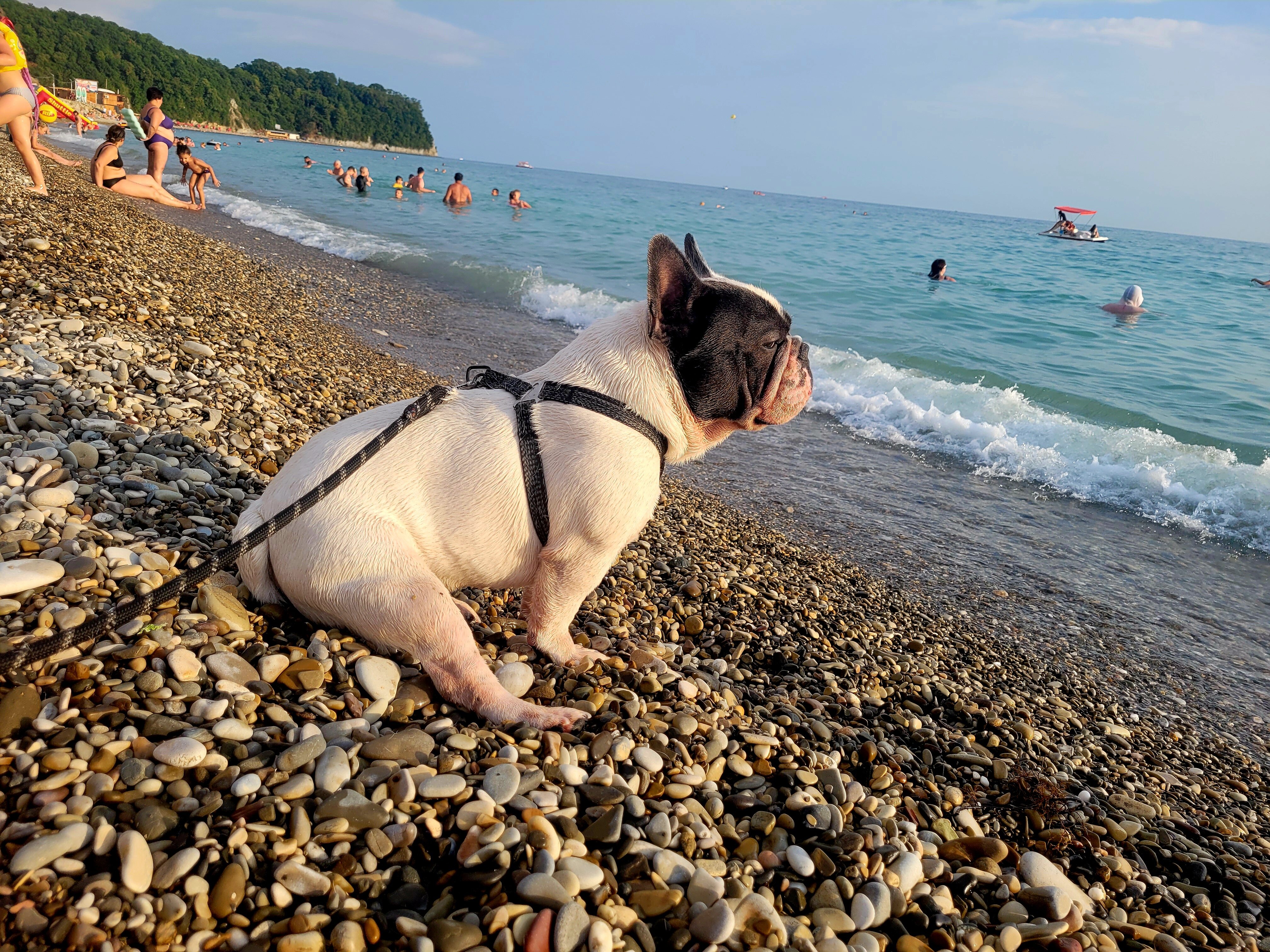 Фото Диамант+