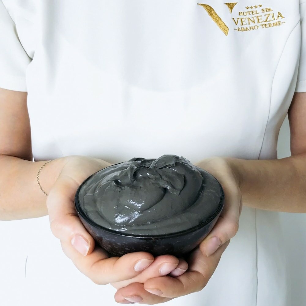 Фото Hotel Venezia Terme