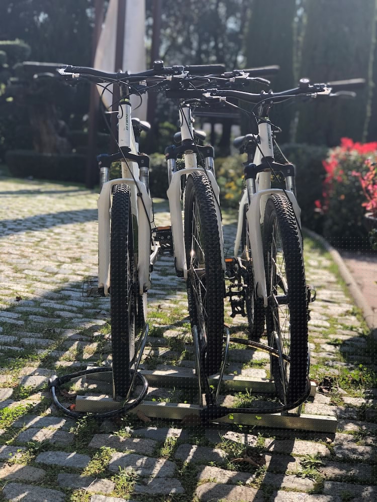 Фото Hotel Blancafort SPA Termal