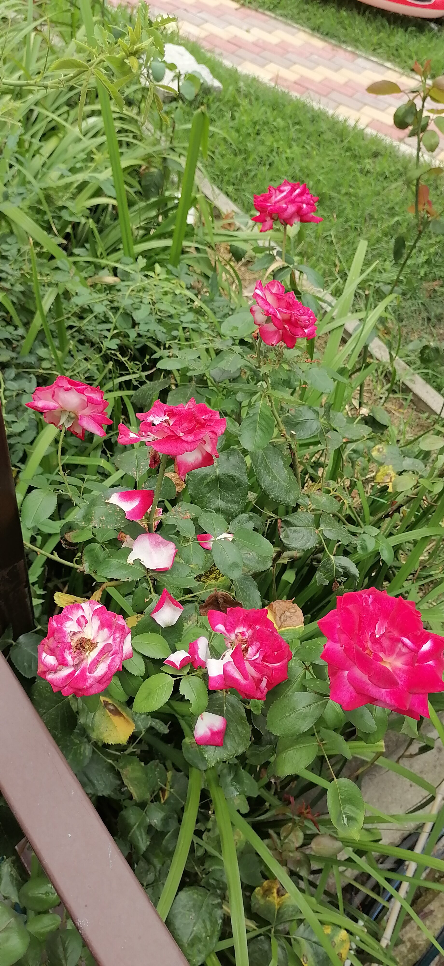 Фото Папа и море