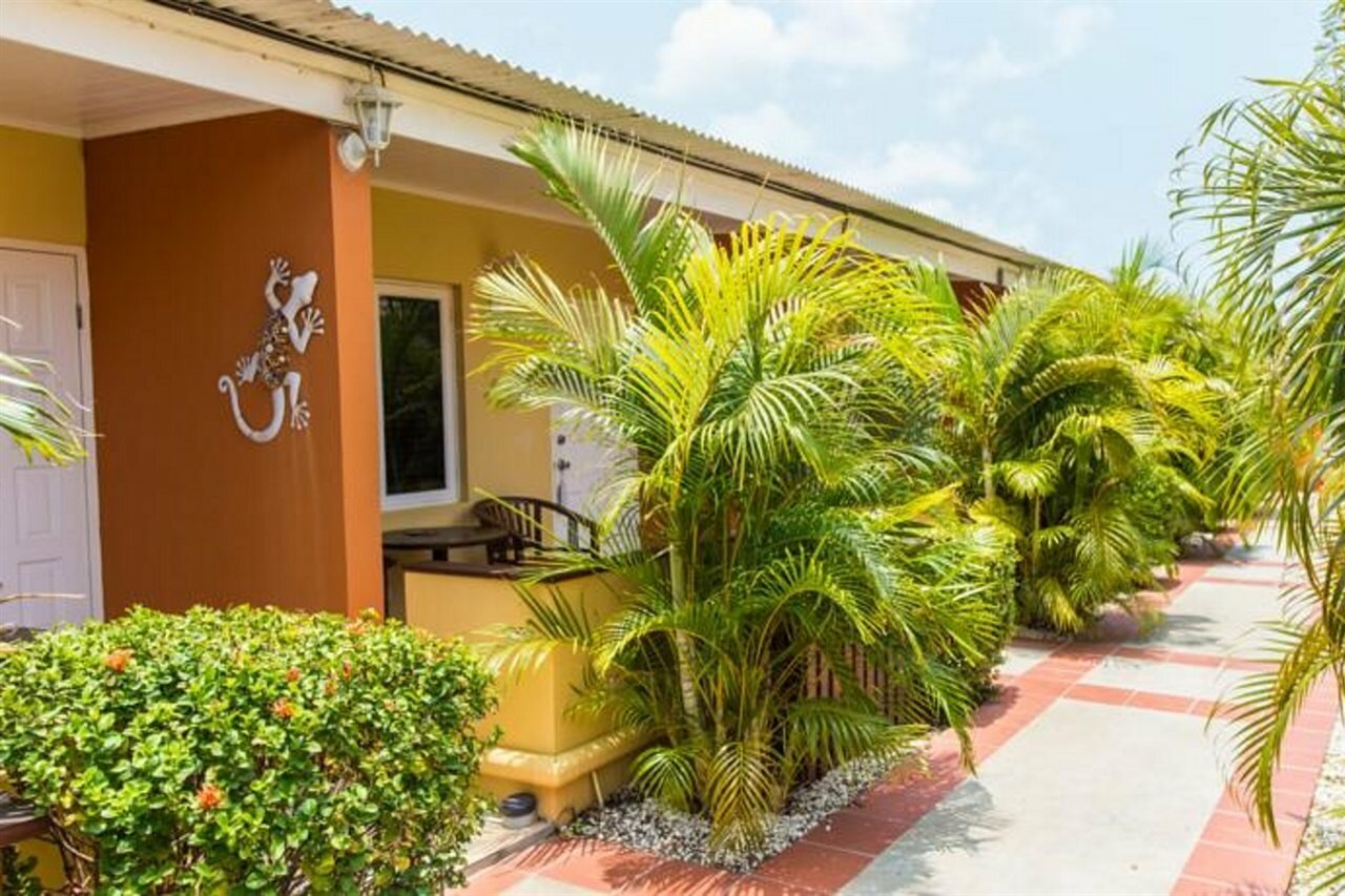 Фото Cariñas Studio Apartments