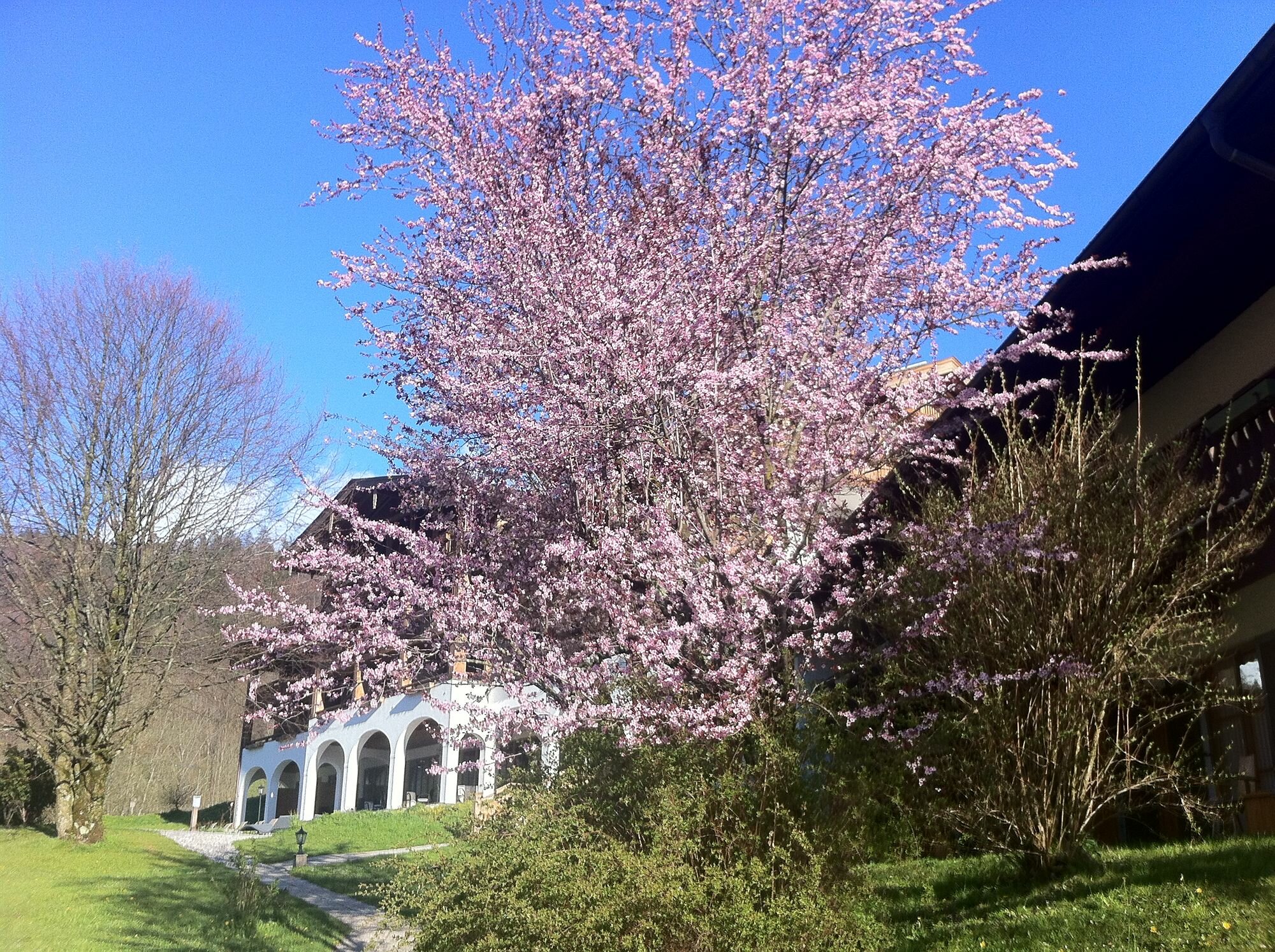 Фото Berghotel Rehlegg