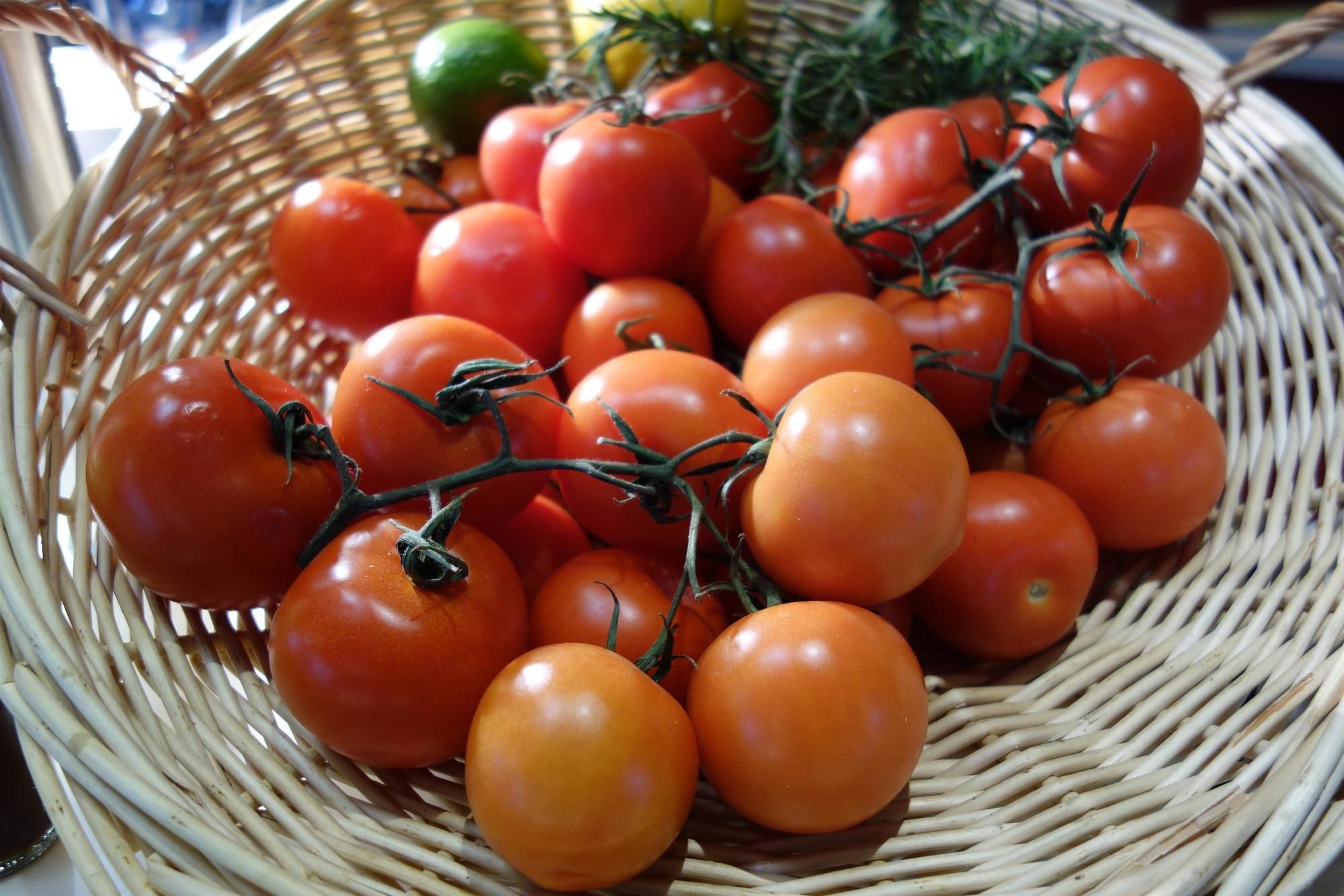Фото Campanile Chartres