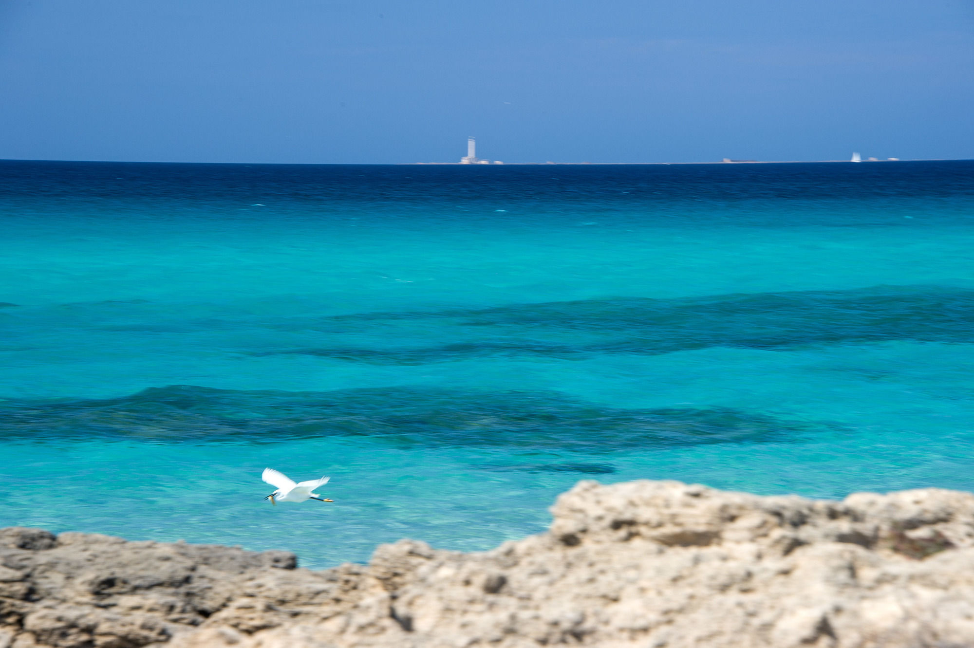 Фото Joli Park Hotel