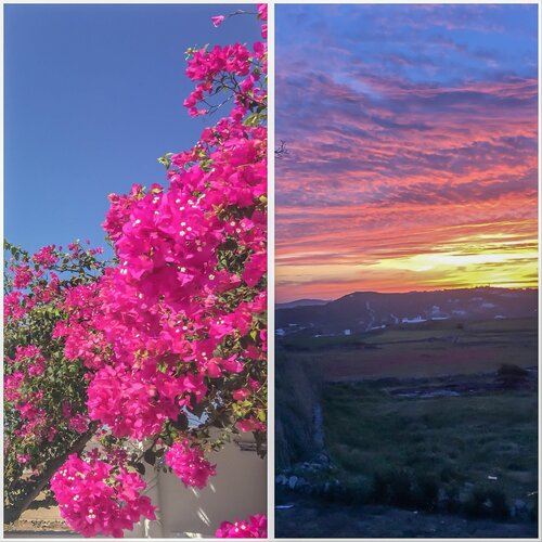 Внешний вид отеля La Stella Stay в Псарроу, фото 4