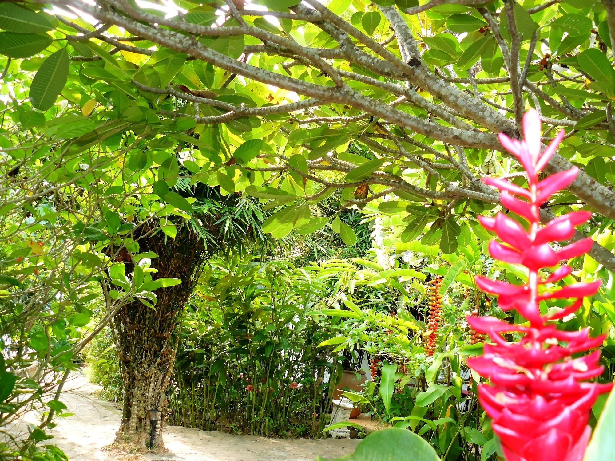 Фото Mealea Resort