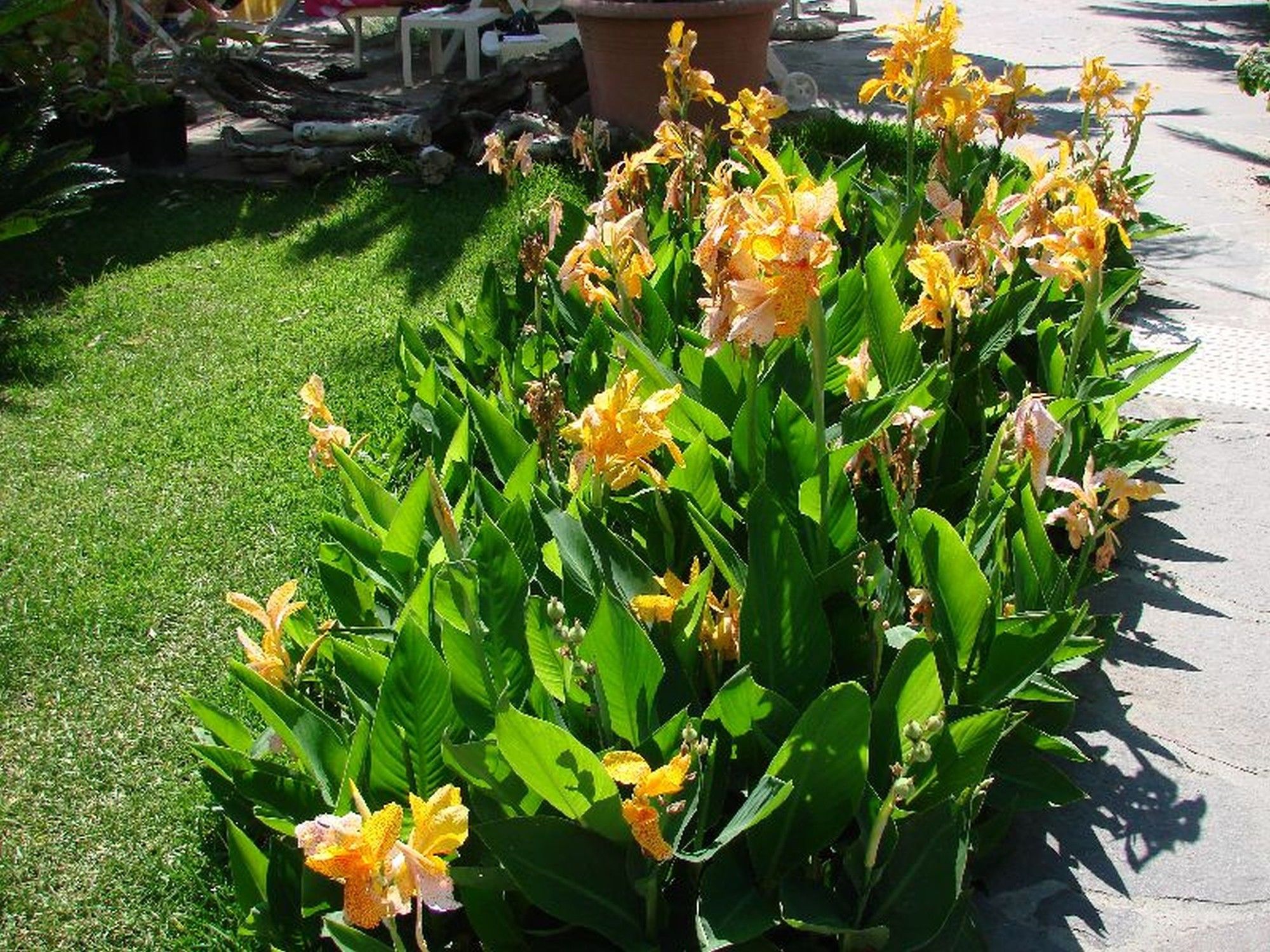 Фото Semiramis Hotel De Charme