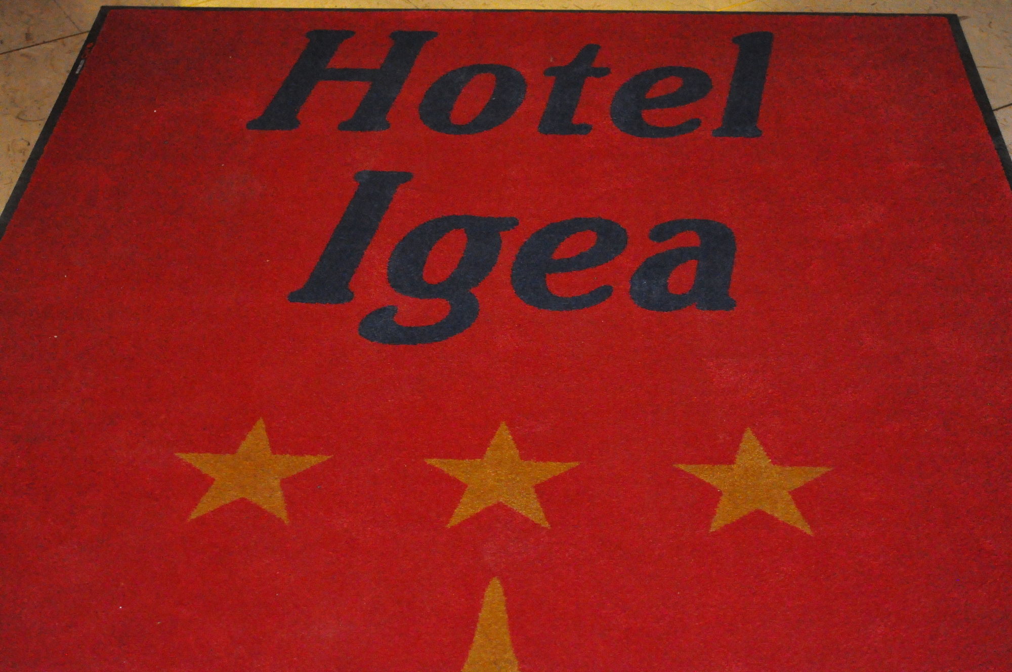 Фото Hotel Igea
