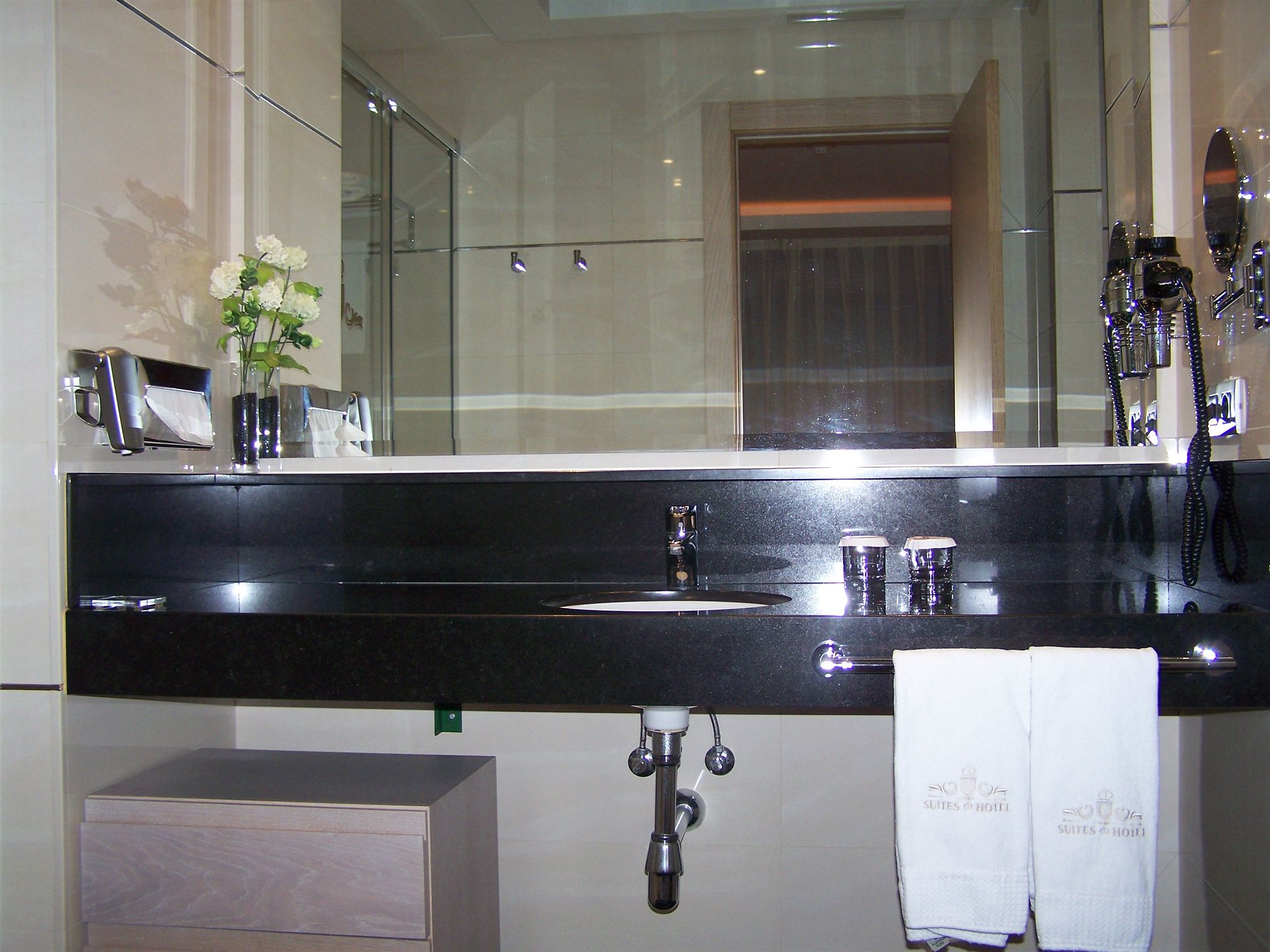 Фото Washington Parquesol Suites & Hotel