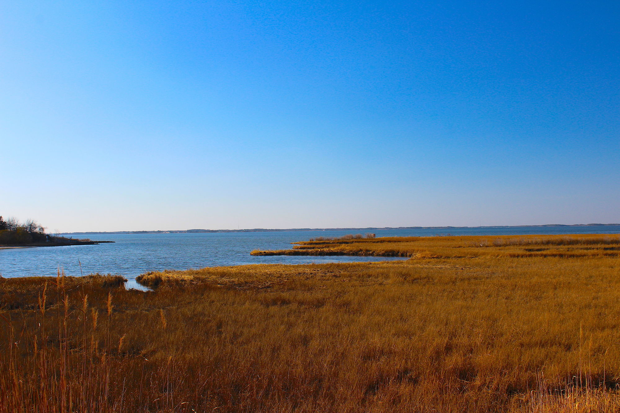 Фото Lucayan Resort by Kees Vacations