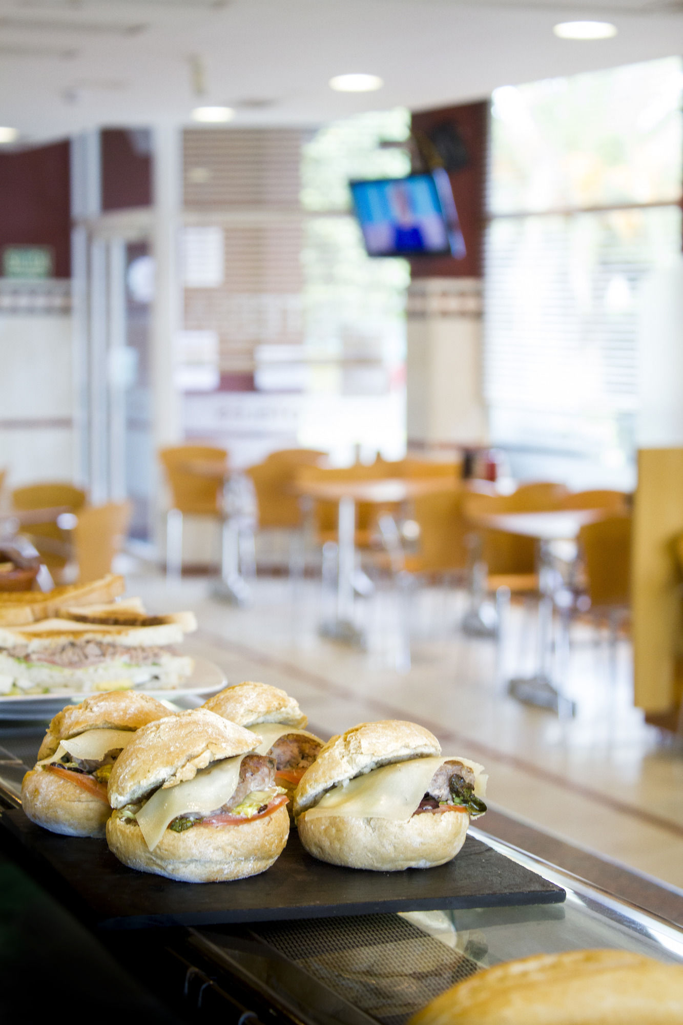 Фото Hotel Zenit Logroño