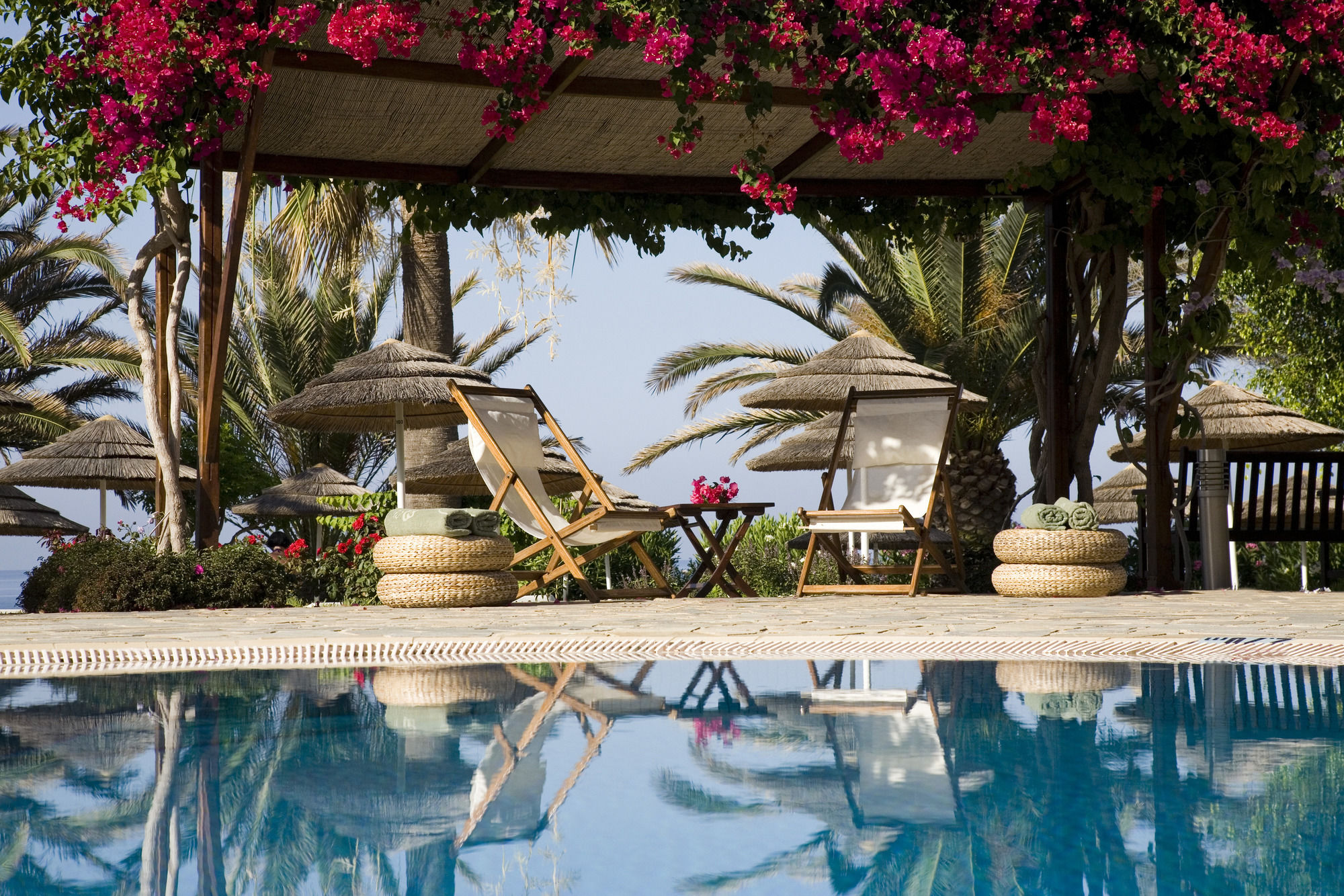 Фото Alion Beach Hotel