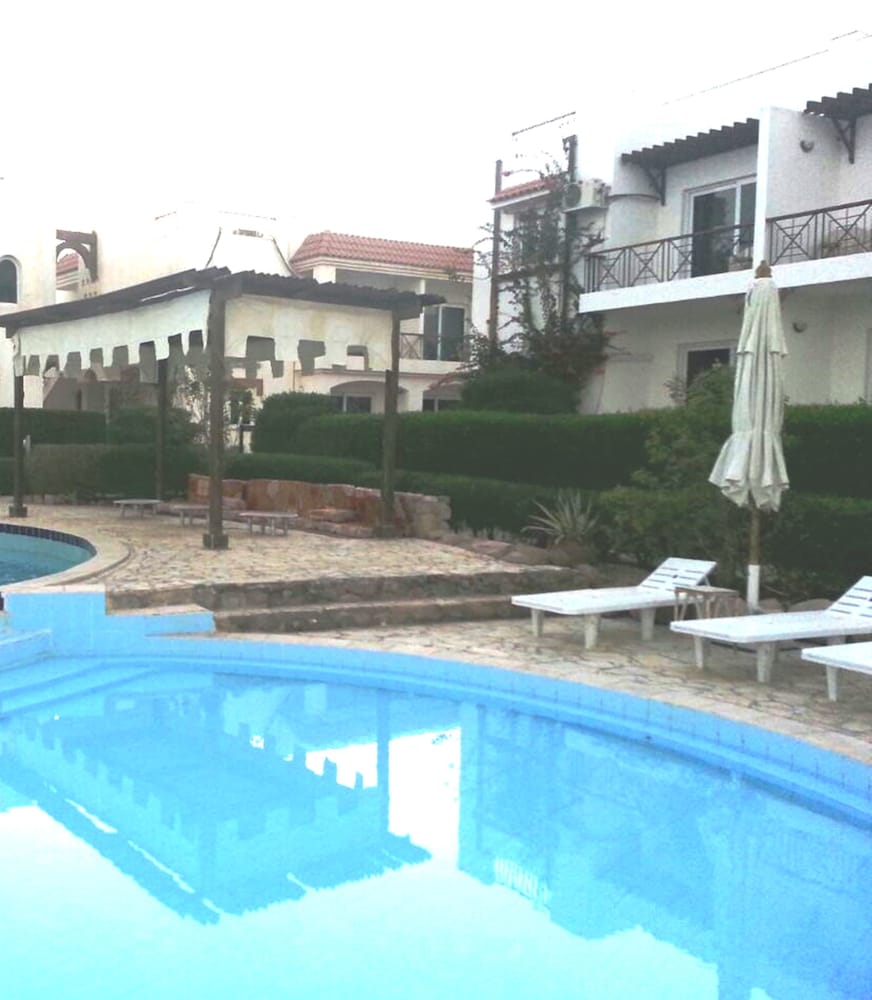 Фото Logaina Sharm