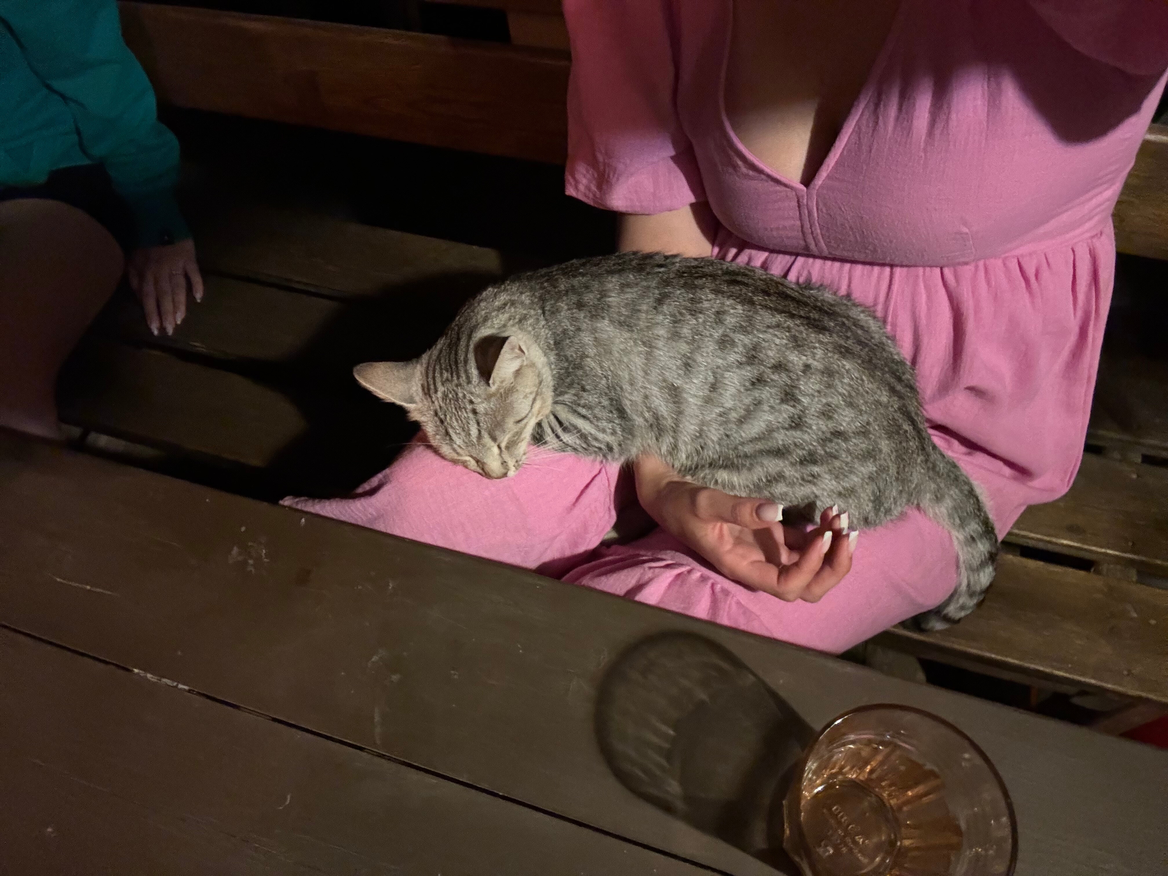 Фото Парма хутор