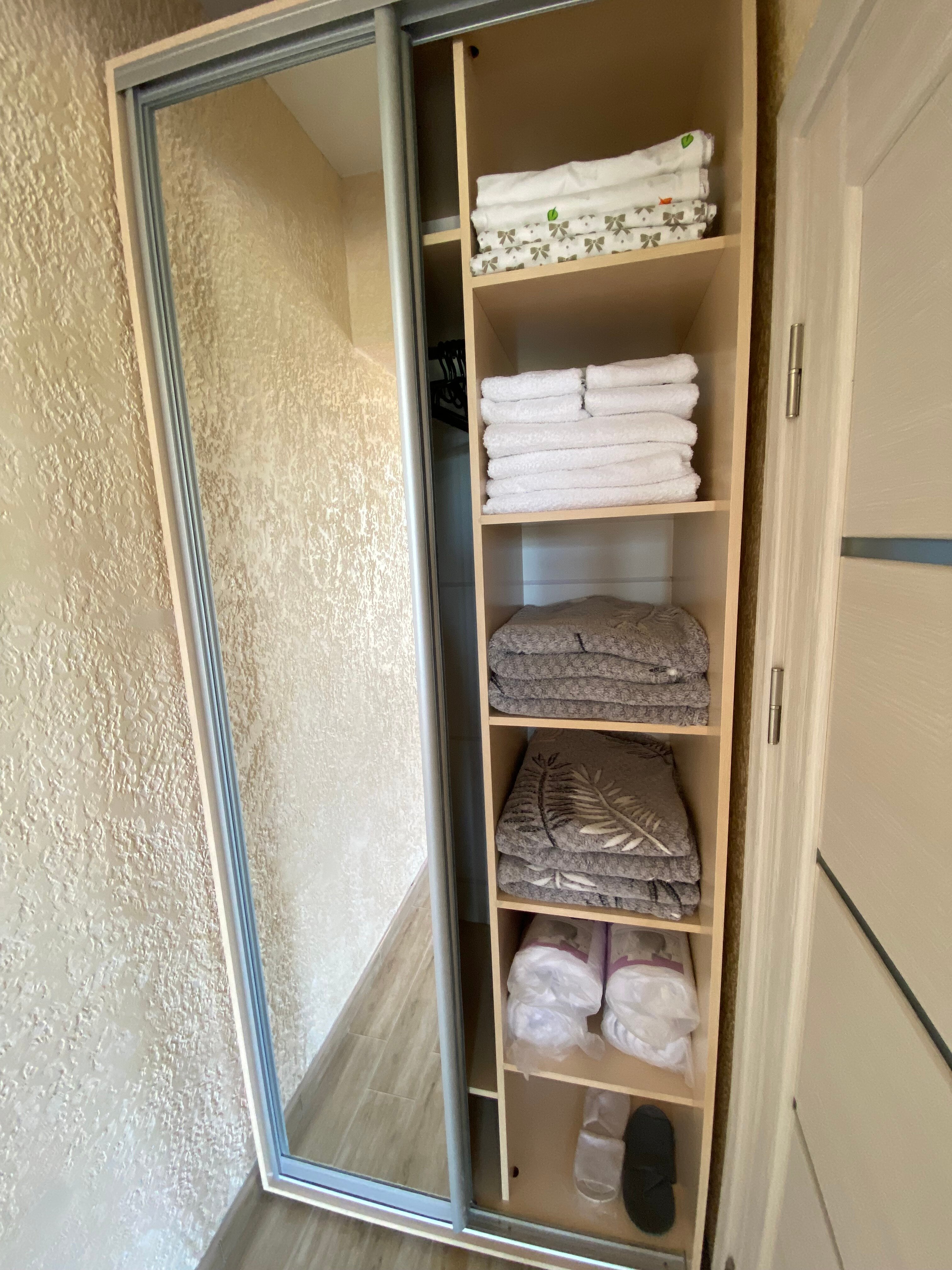 Фото Сантолина