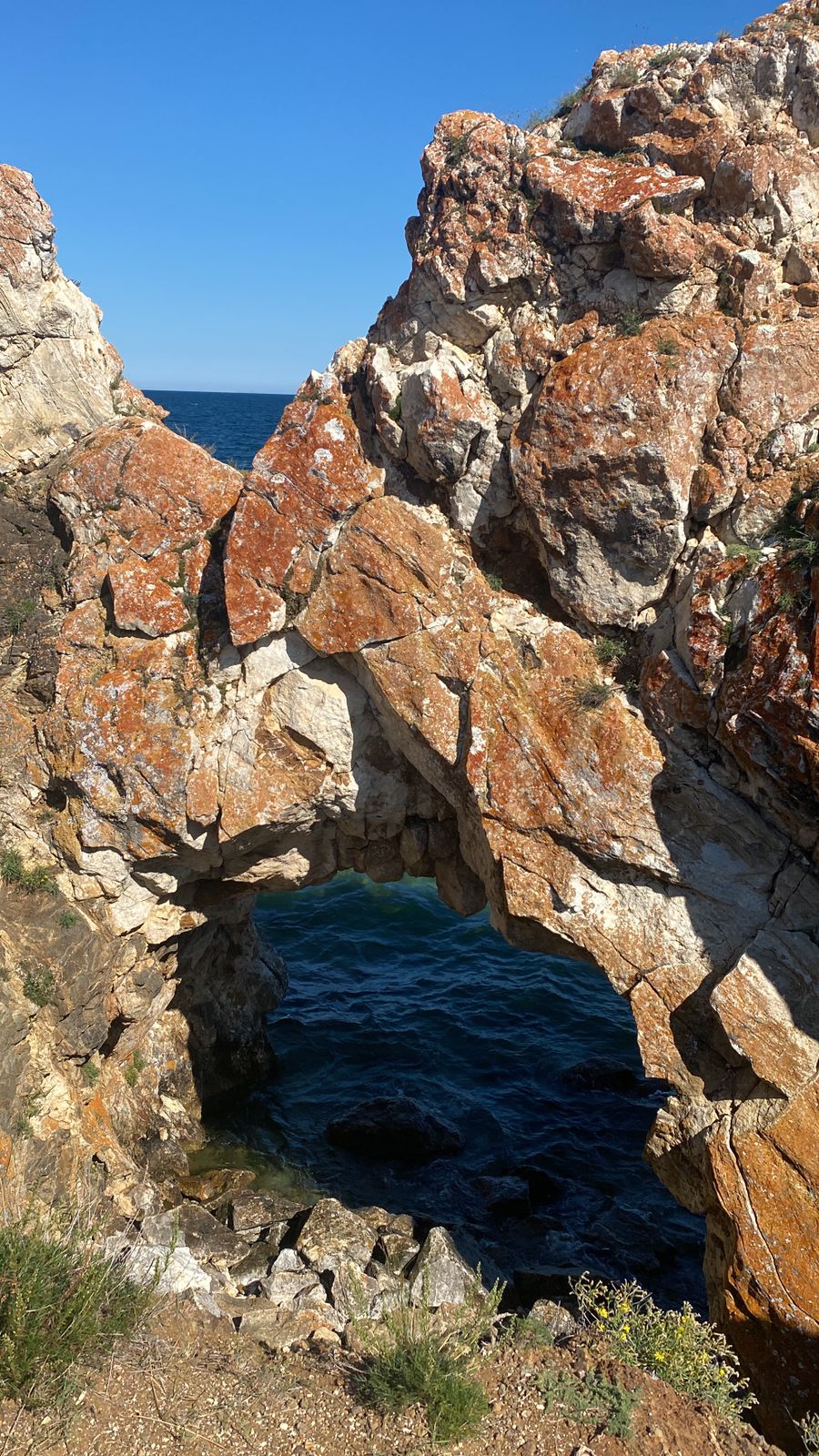 Фото Ольтрек