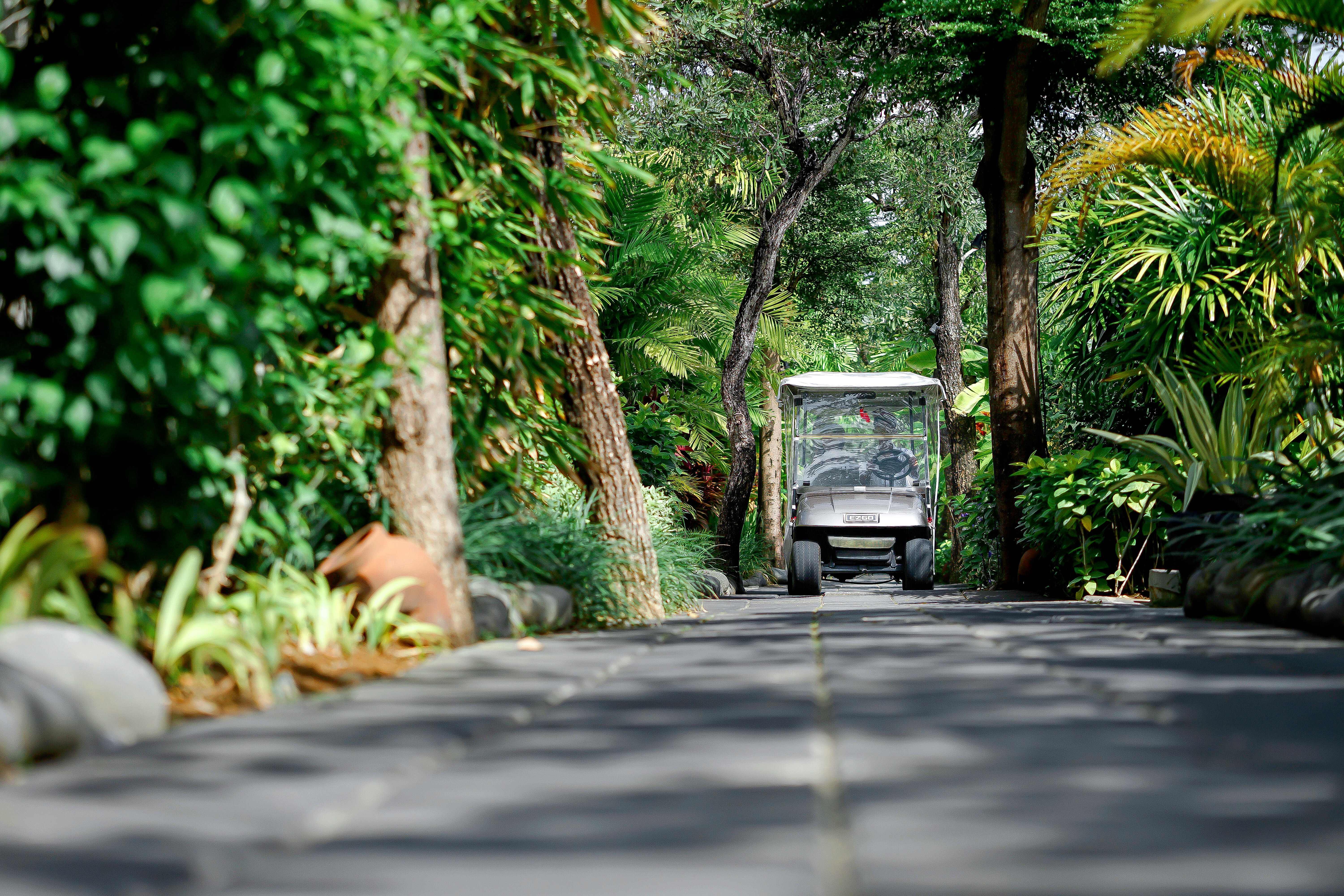 Фото Javana Royal Villas