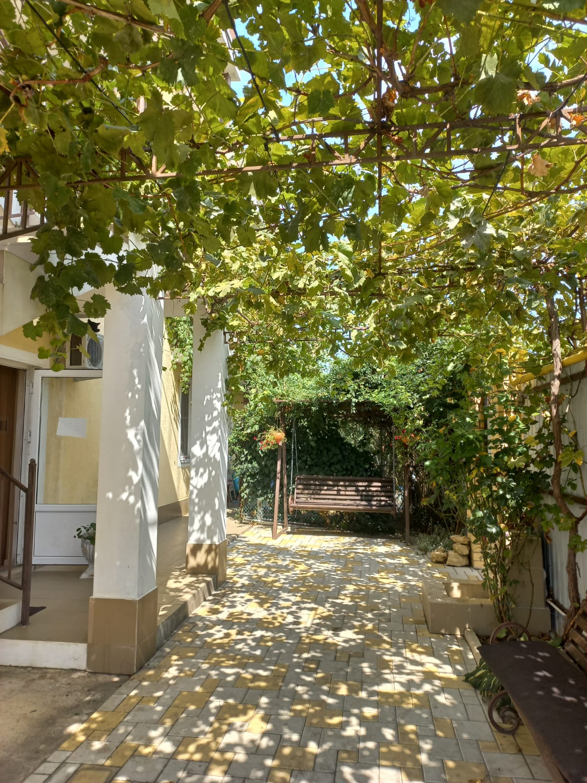 Фото Кипарис